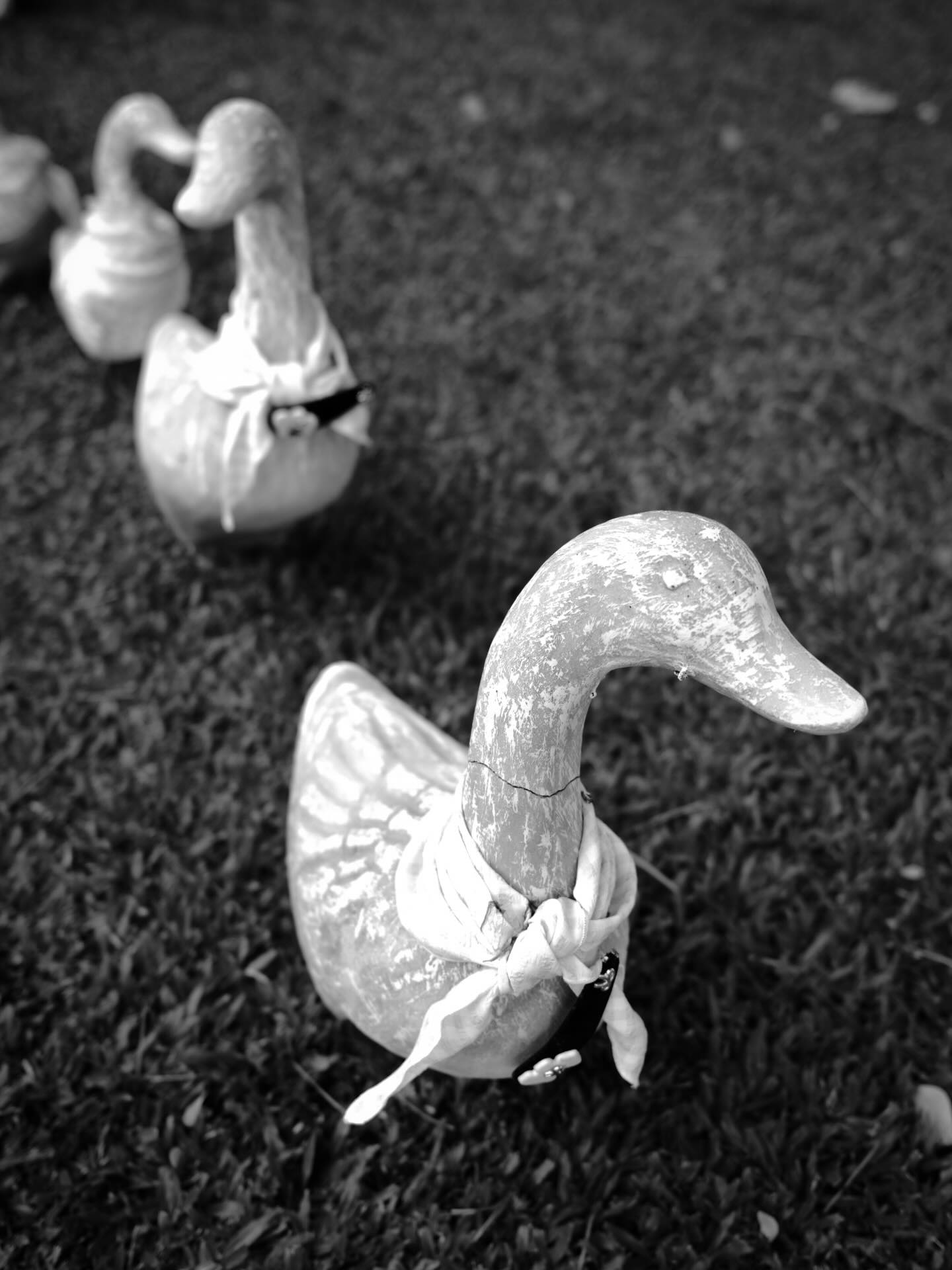 เฟริสท์ - ฉลองรัฐ นอบสำโรง