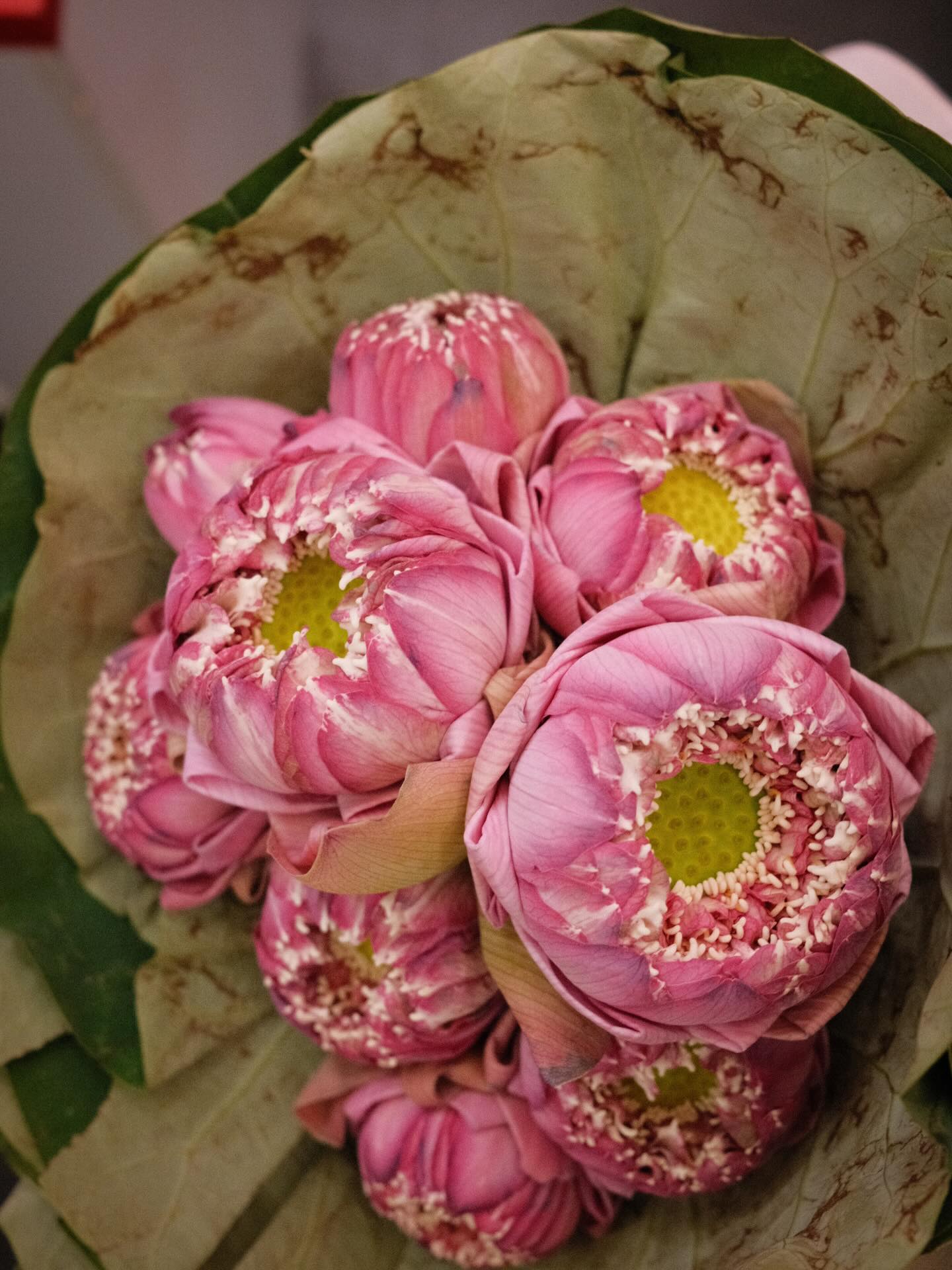 เฟริสท์ - ฉลองรัฐ นอบสำโรง