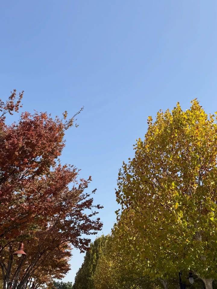 เอนจอย - ธิดารัตน์ ปรือทอง