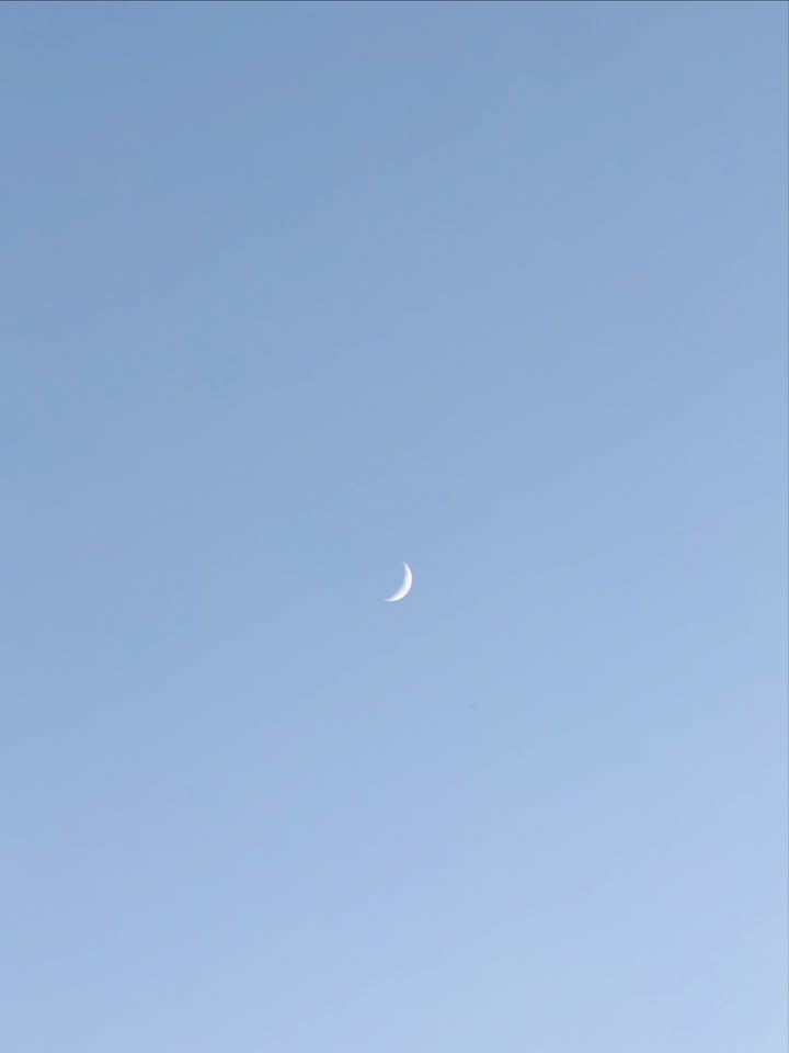 เอนจอย - ธิดารัตน์ ปรือทอง