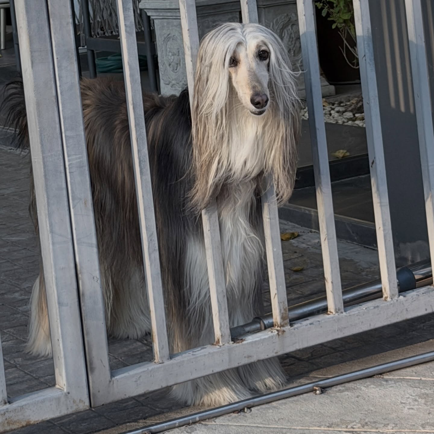 เอนจอย - ธิดารัตน์ ปรือทอง