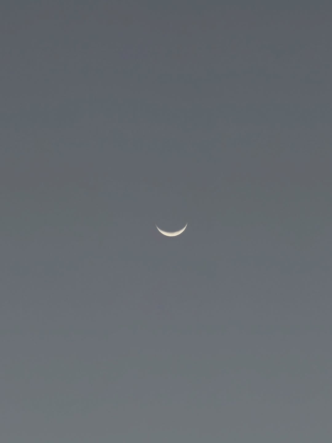 เอนจอย - ธิดารัตน์ ปรือทอง