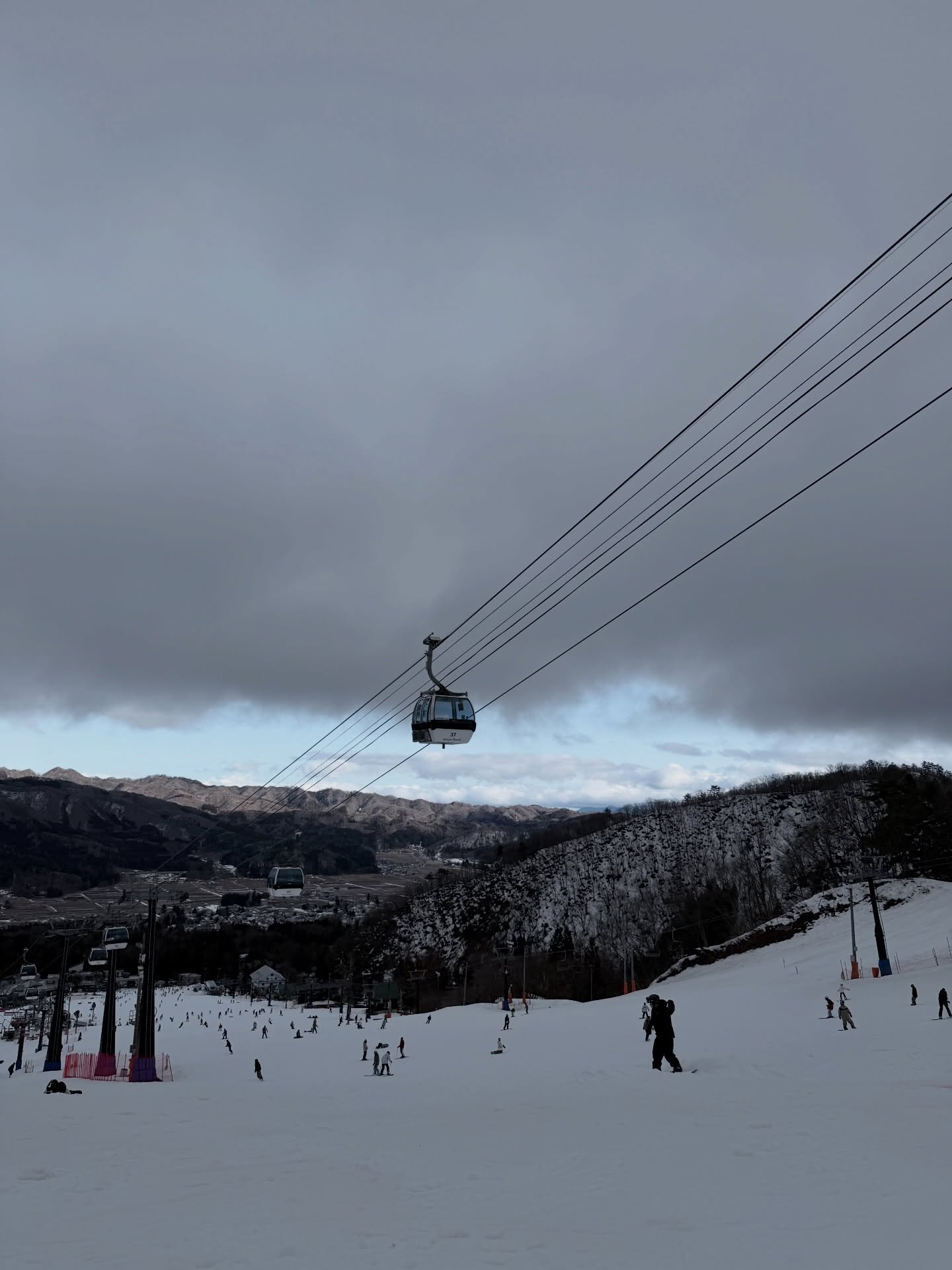 เอนจอย - ธิดารัตน์ ปรือทอง