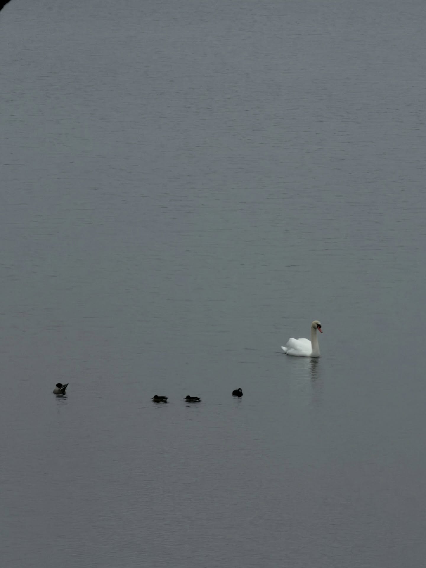 เอนจอย - ธิดารัตน์ ปรือทอง