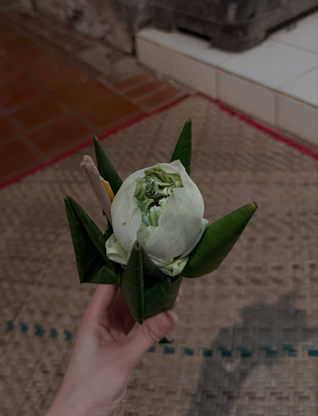 เอนจอย - ธิดารัตน์ ปรือทอง