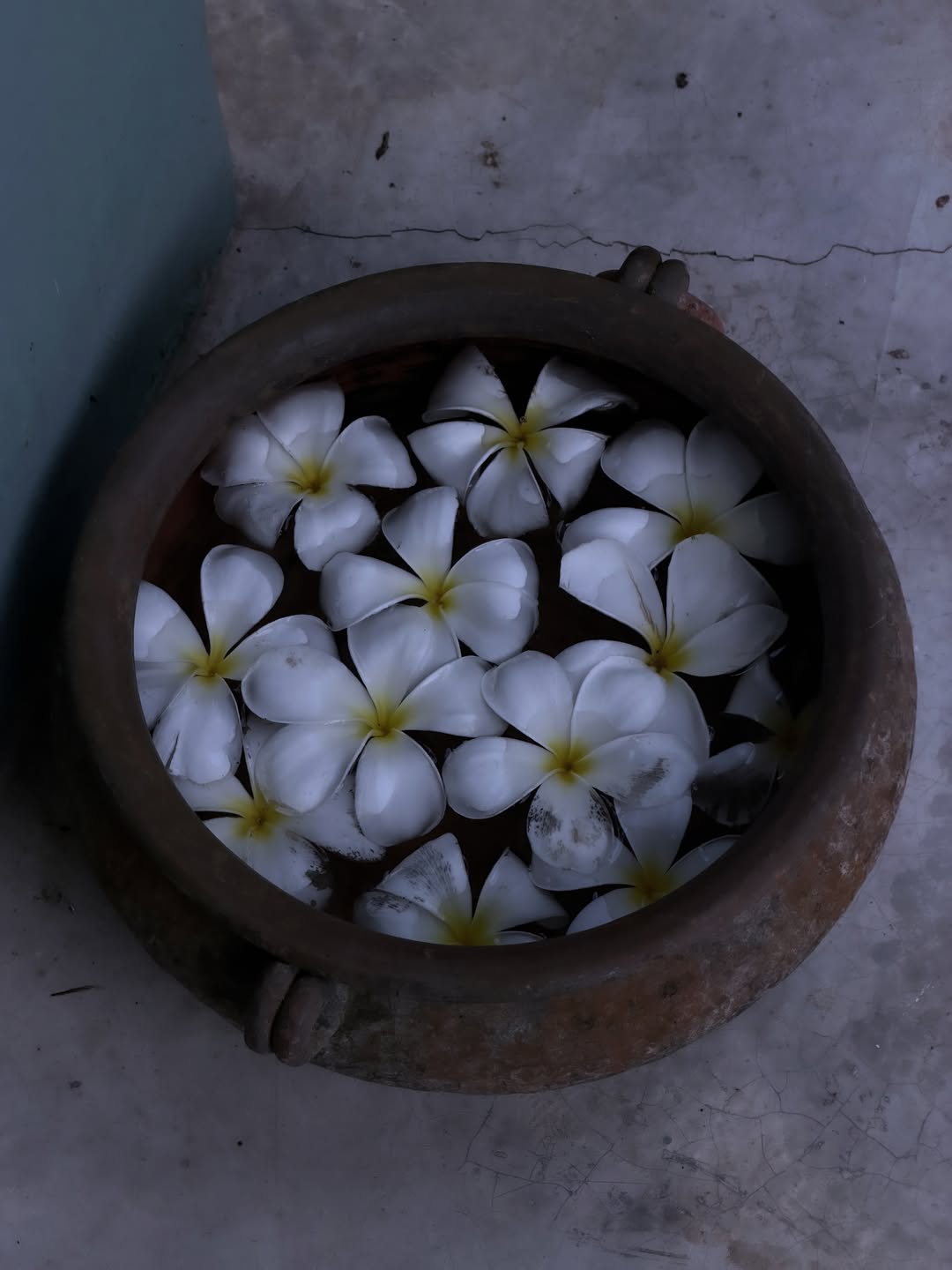 เอนจอย - ธิดารัตน์ ปรือทอง
