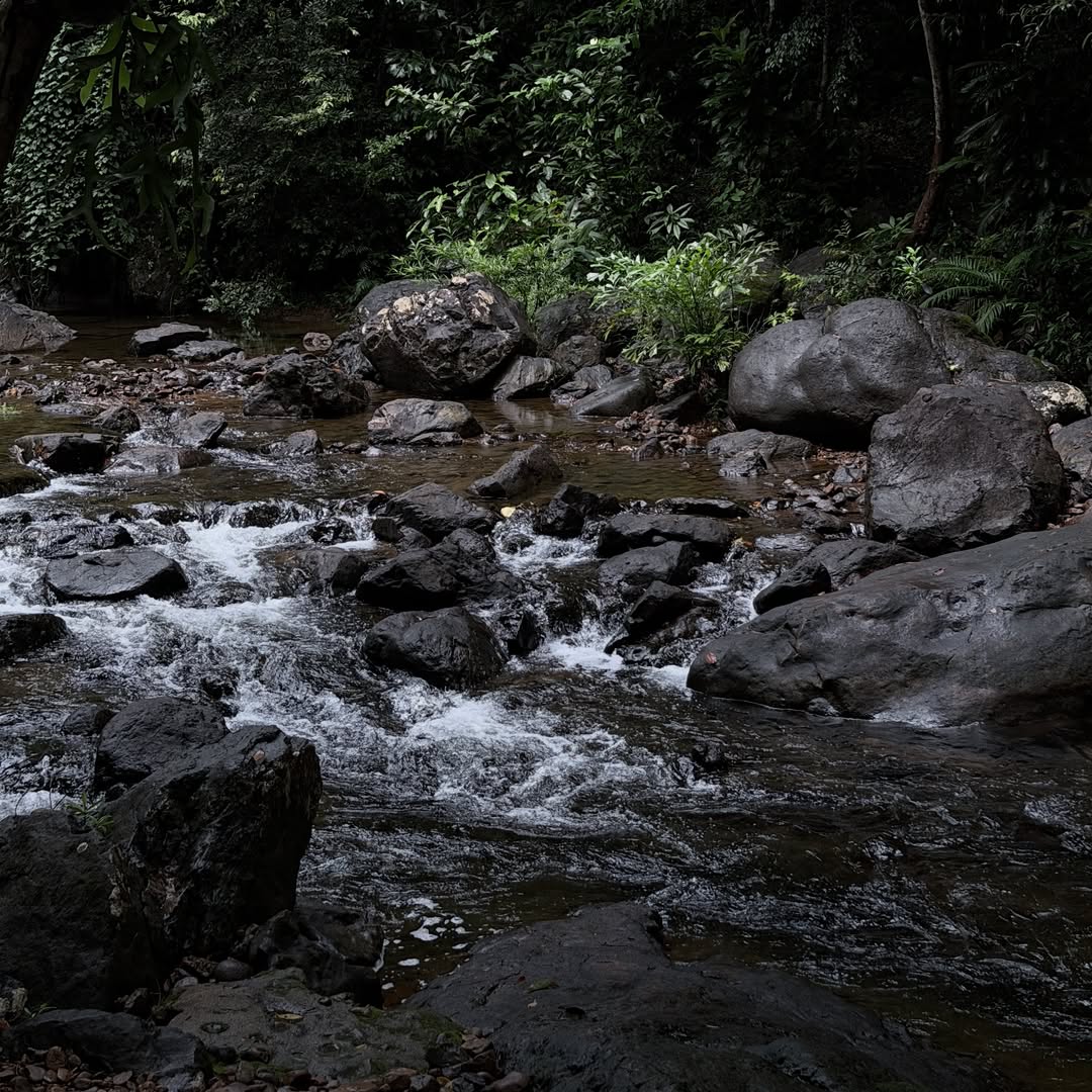 เอนจอย - ธิดารัตน์ ปรือทอง