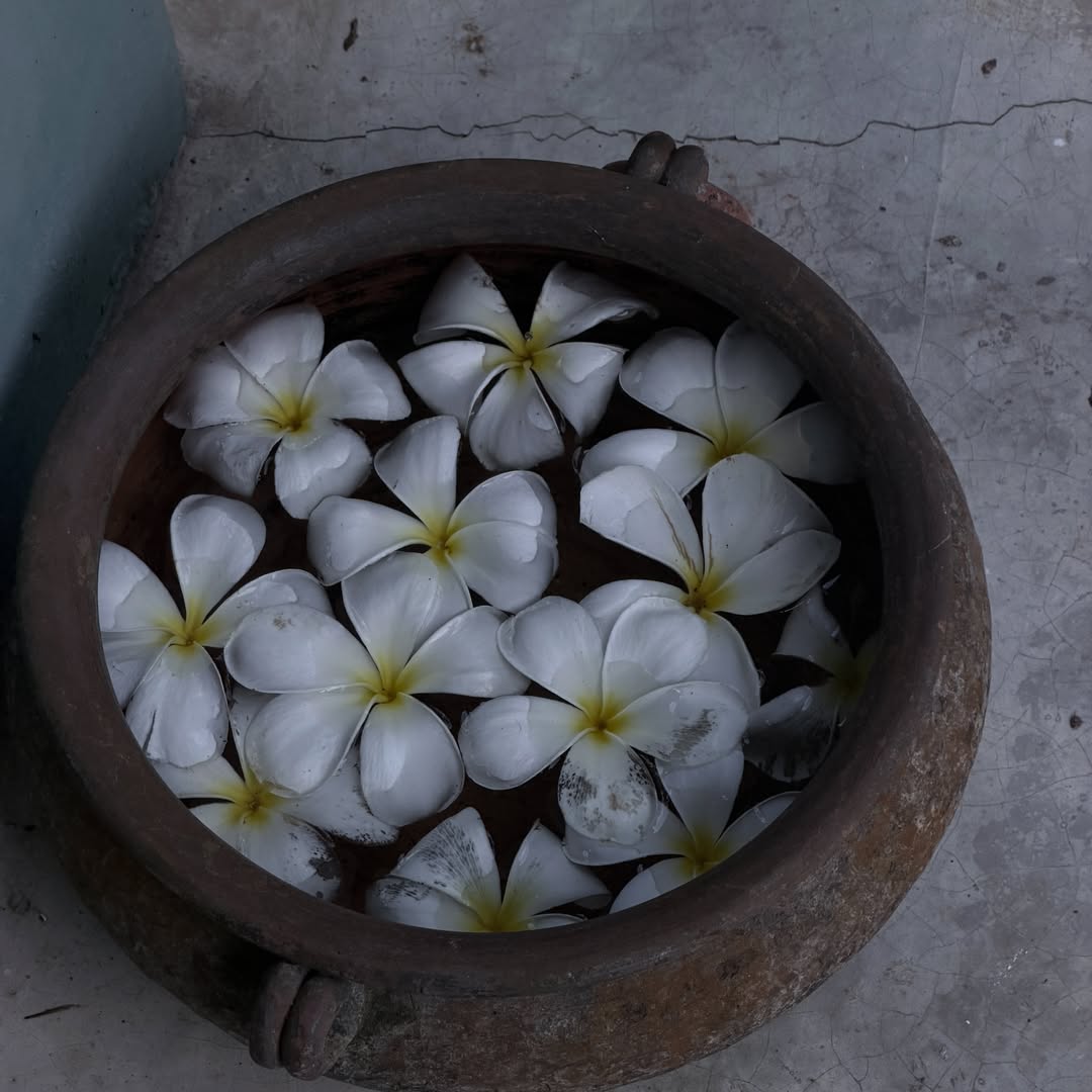 เอนจอย - ธิดารัตน์ ปรือทอง