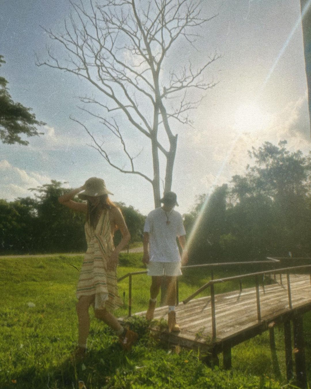 ใบเฟิร์น - พิมพ์ชนก ลือวิเศษไพบูลย์