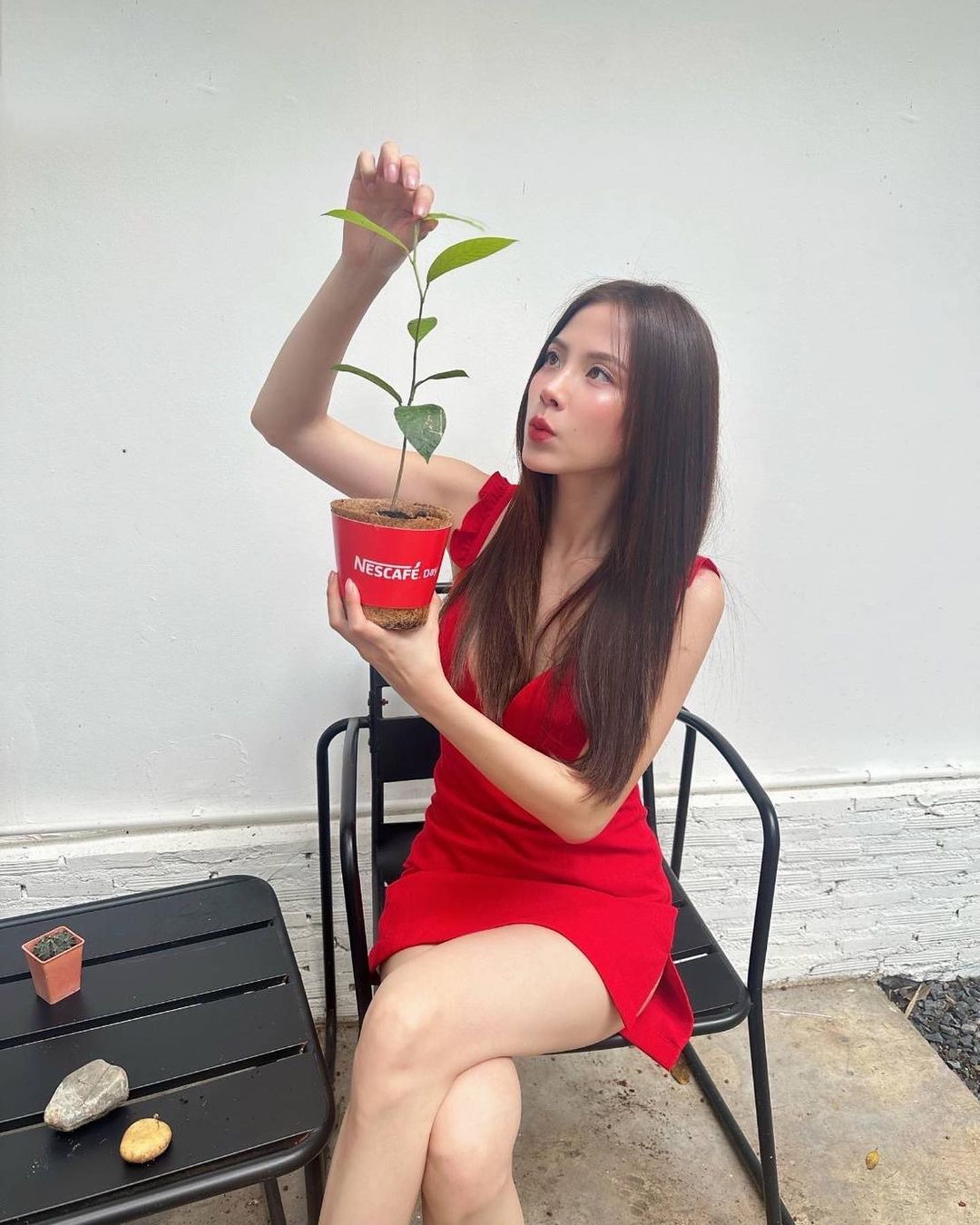 ใบเฟิร์น - พิมพ์ชนก ลือวิเศษไพบูลย์