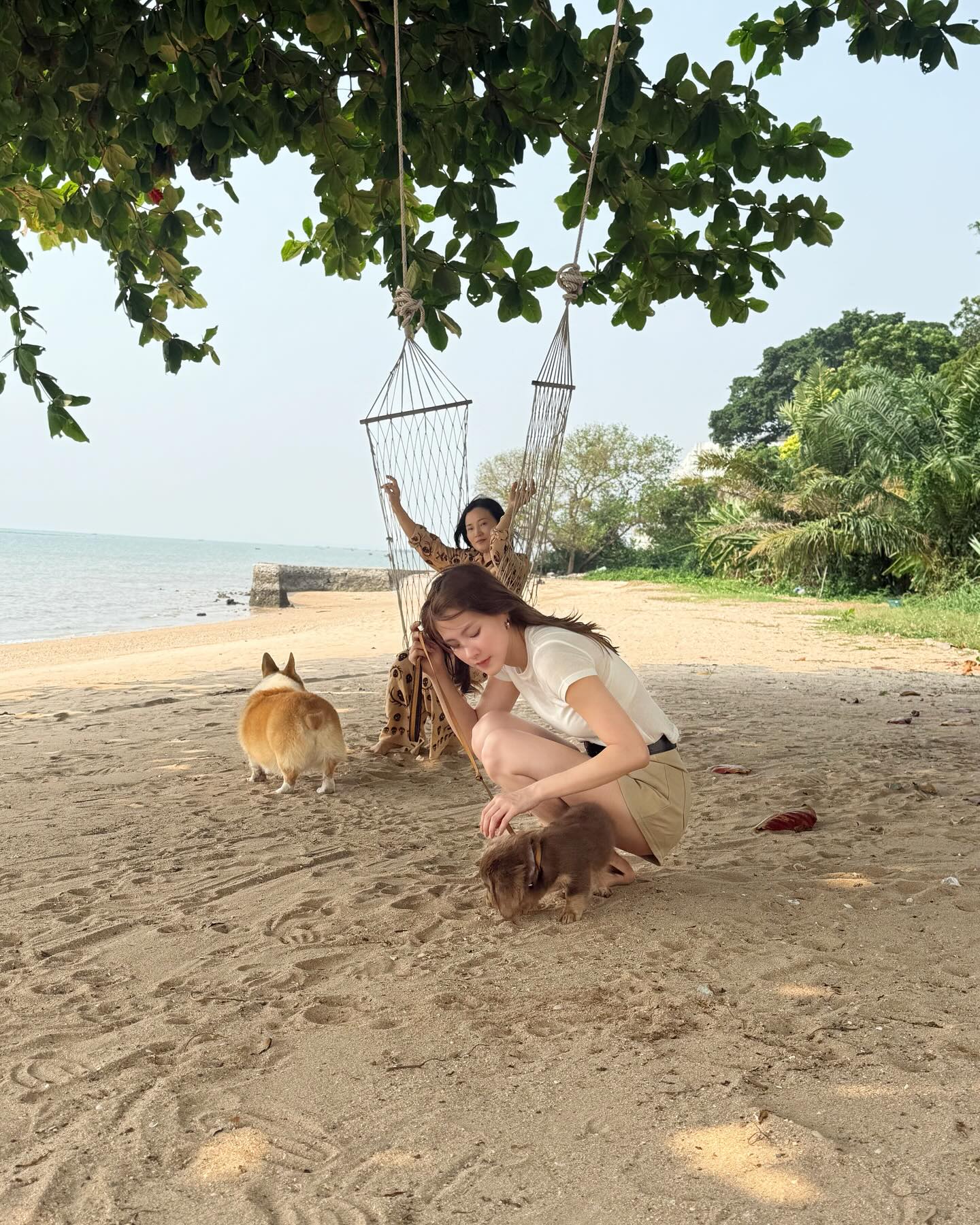 ใบเฟิร์น - พิมพ์ชนก ลือวิเศษไพบูลย์