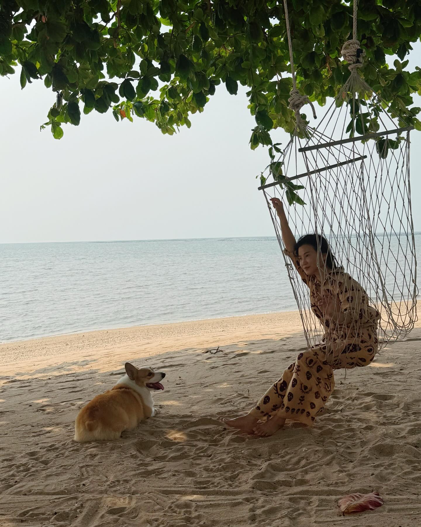 ใบเฟิร์น - พิมพ์ชนก ลือวิเศษไพบูลย์