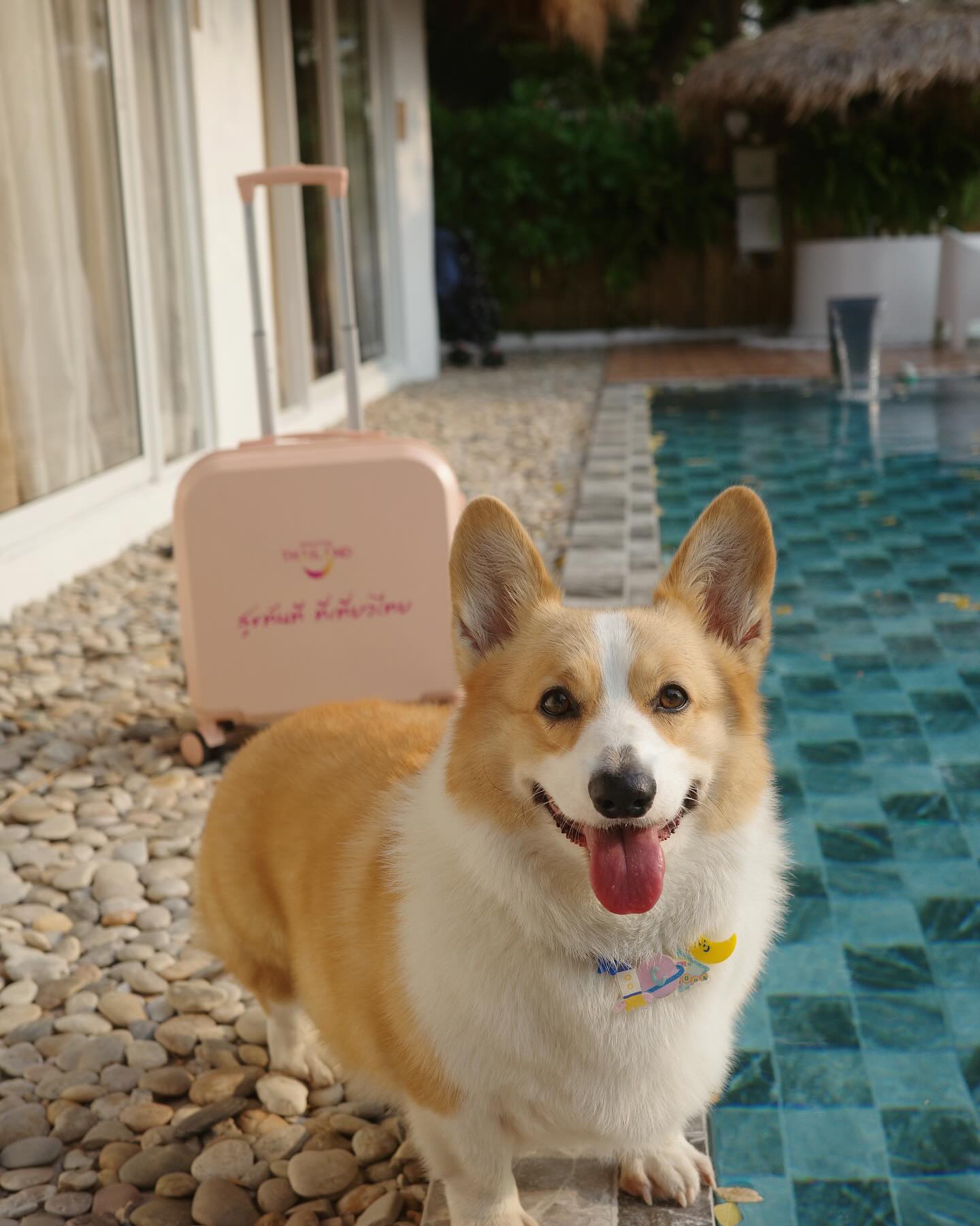 ใบเฟิร์น - พิมพ์ชนก ลือวิเศษไพบูลย์