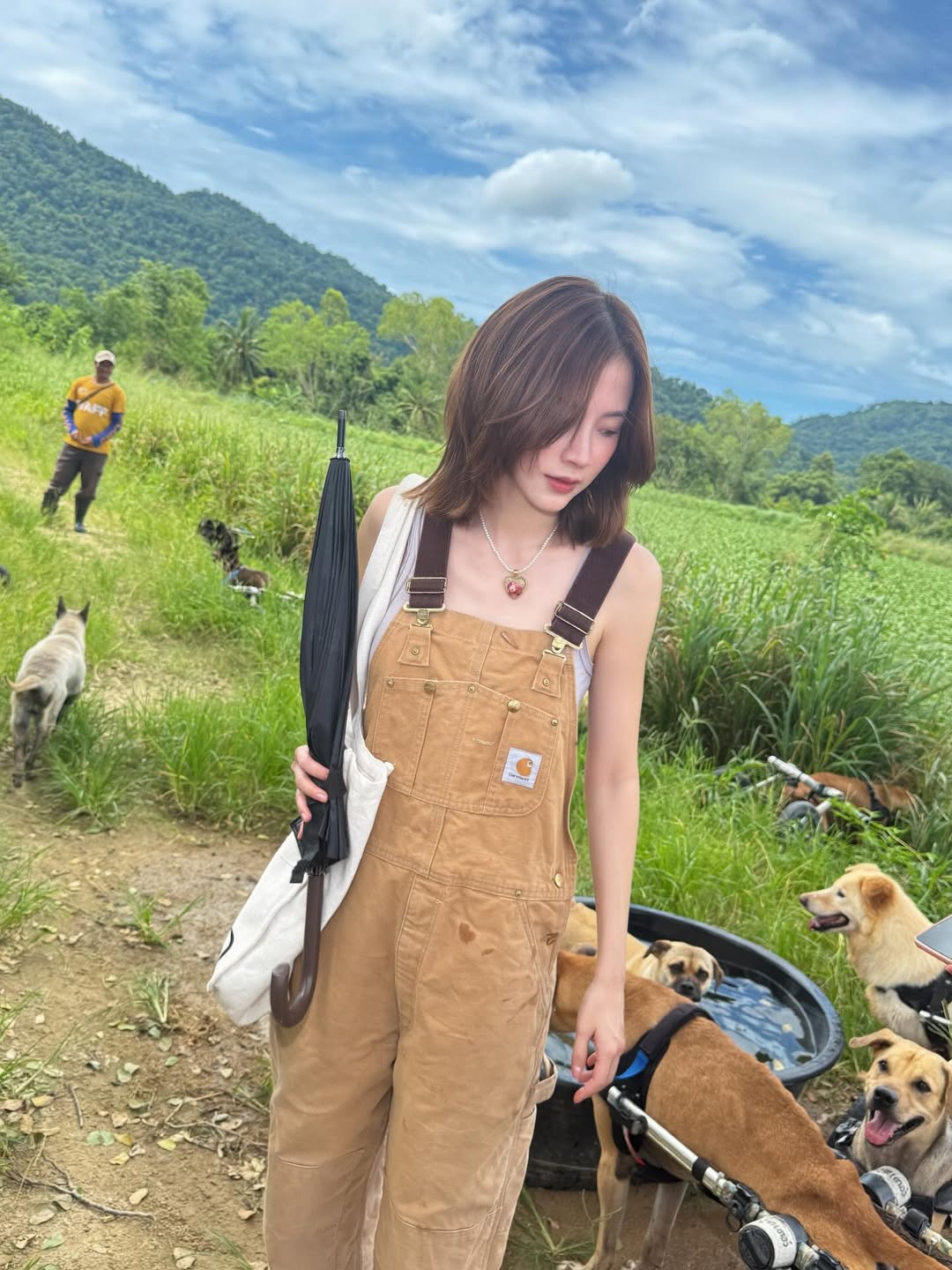 ใบเฟิร์น - พิมพ์ชนก ลือวิเศษไพบูลย์