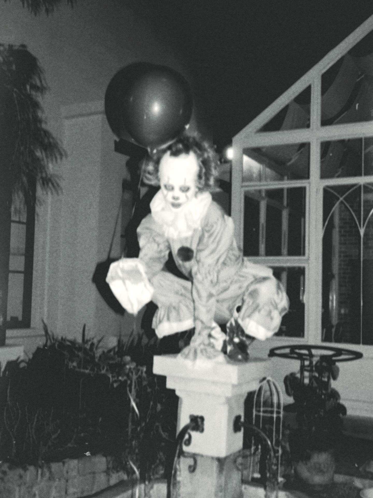 ใบเฟิร์น - พิมพ์ชนก ลือวิเศษไพบูลย์