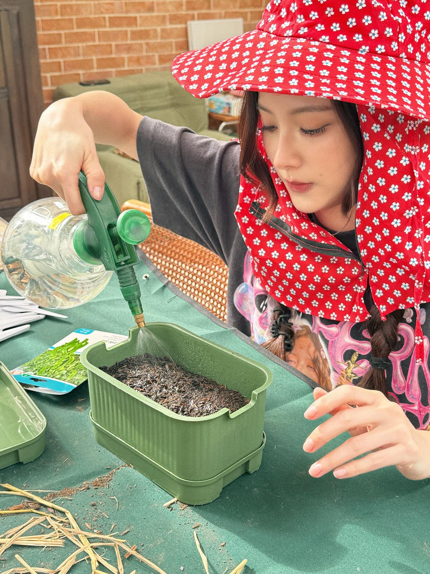 ใบเฟิร์น - พิมพ์ชนก ลือวิเศษไพบูลย์