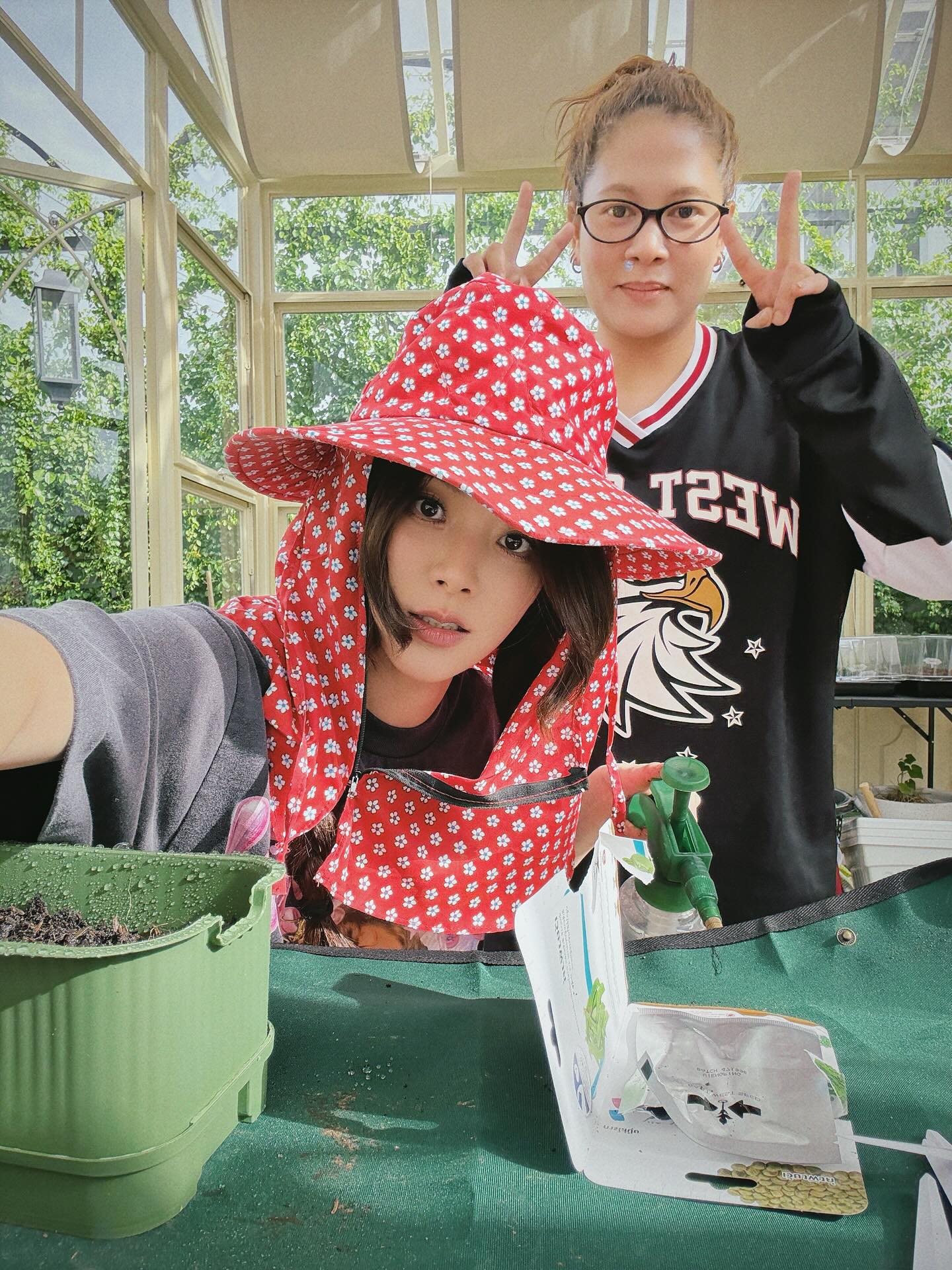 ใบเฟิร์น - พิมพ์ชนก ลือวิเศษไพบูลย์