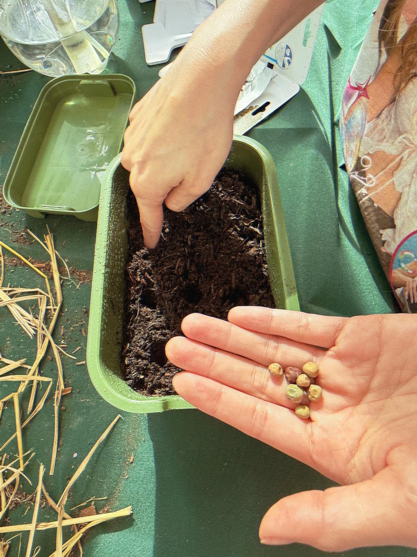 ใบเฟิร์น - พิมพ์ชนก ลือวิเศษไพบูลย์