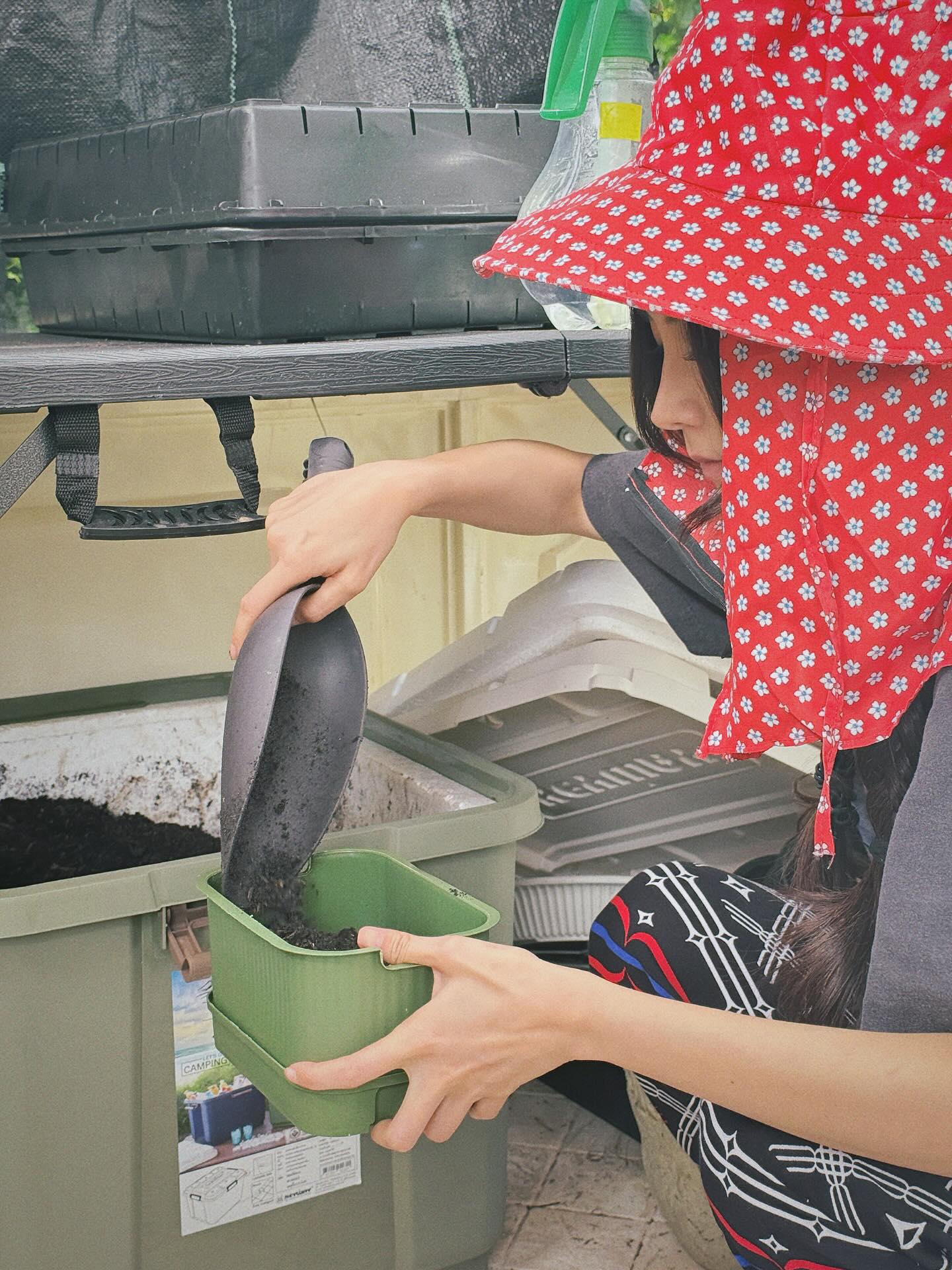 ใบเฟิร์น - พิมพ์ชนก ลือวิเศษไพบูลย์