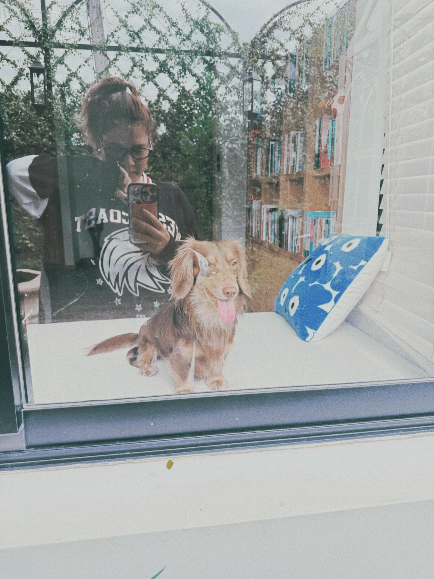 ใบเฟิร์น - พิมพ์ชนก ลือวิเศษไพบูลย์