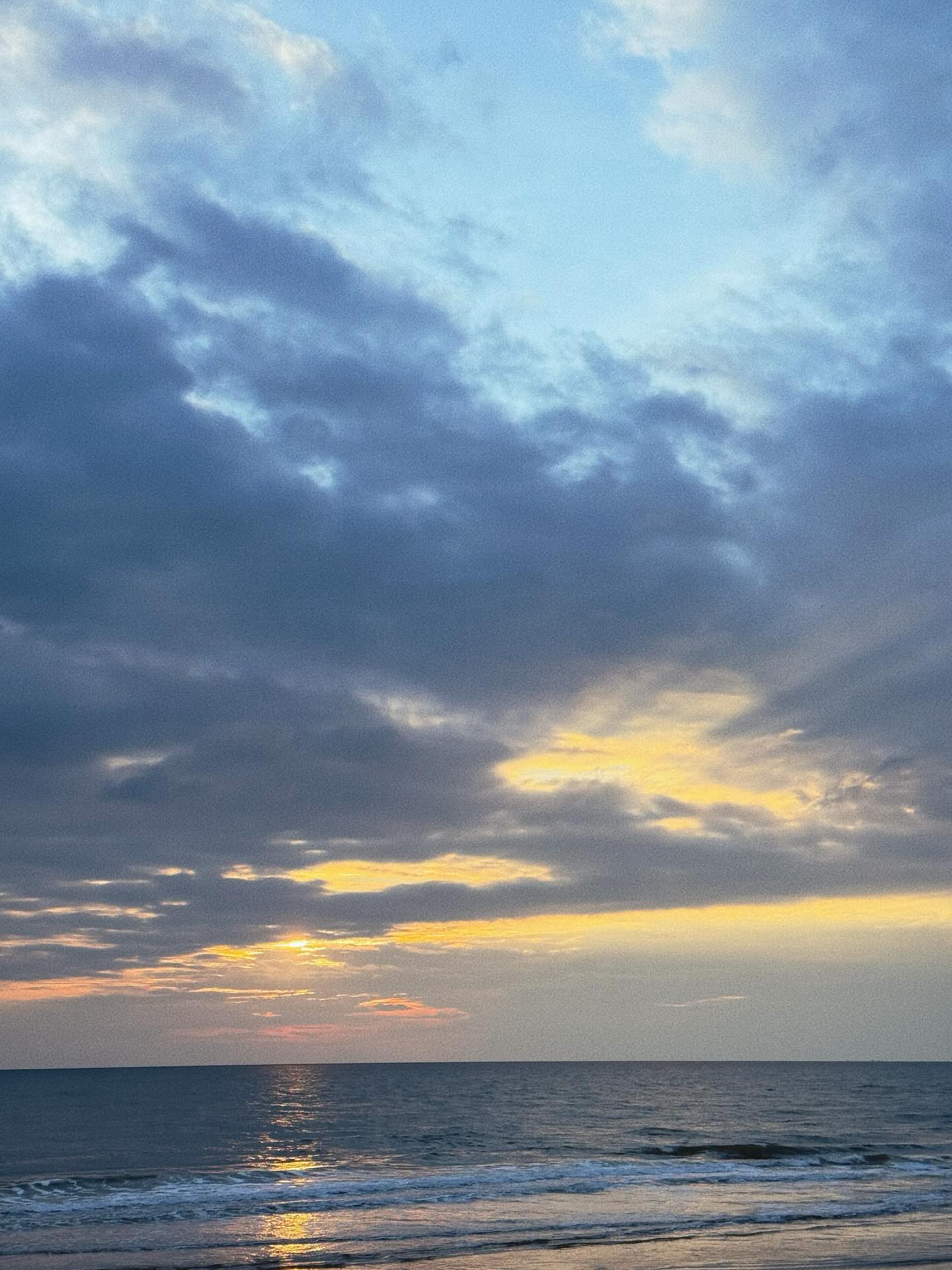 ใบเฟิร์น - พิมพ์ชนก ลือวิเศษไพบูลย์