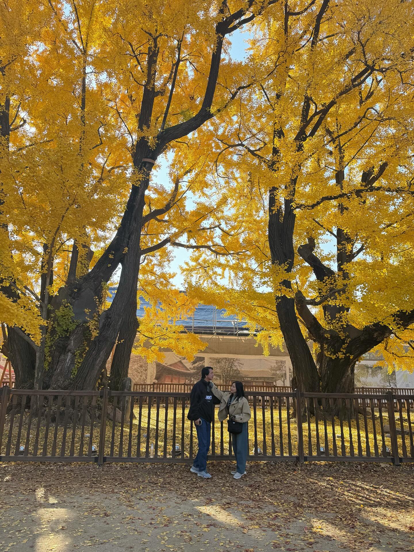 ใบเฟิร์น - พิมพ์ชนก ลือวิเศษไพบูลย์