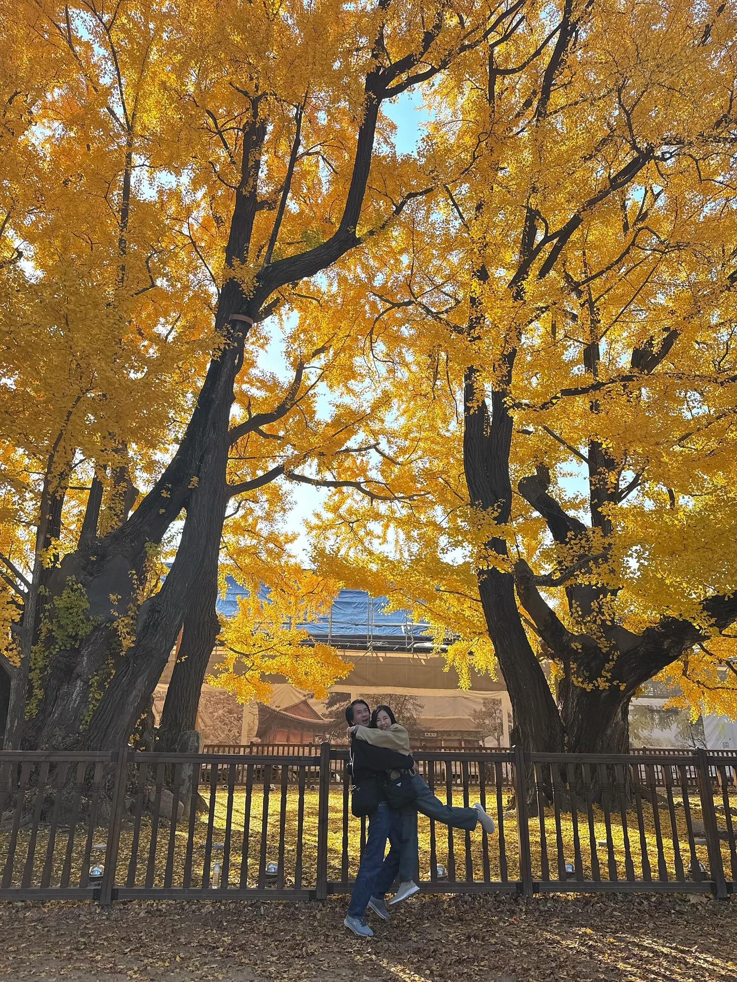 ใบเฟิร์น - พิมพ์ชนก ลือวิเศษไพบูลย์