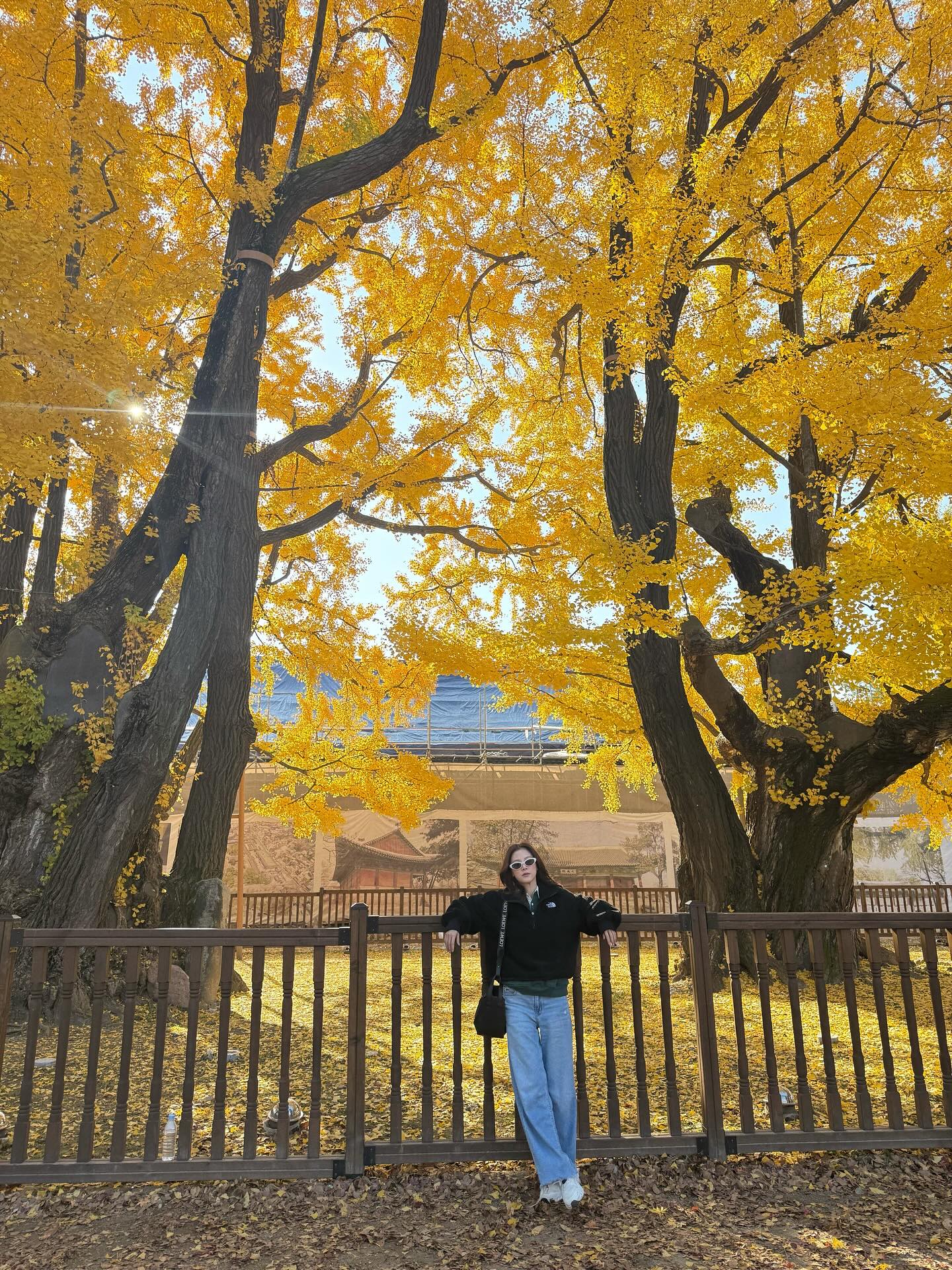 ใบเฟิร์น - พิมพ์ชนก ลือวิเศษไพบูลย์