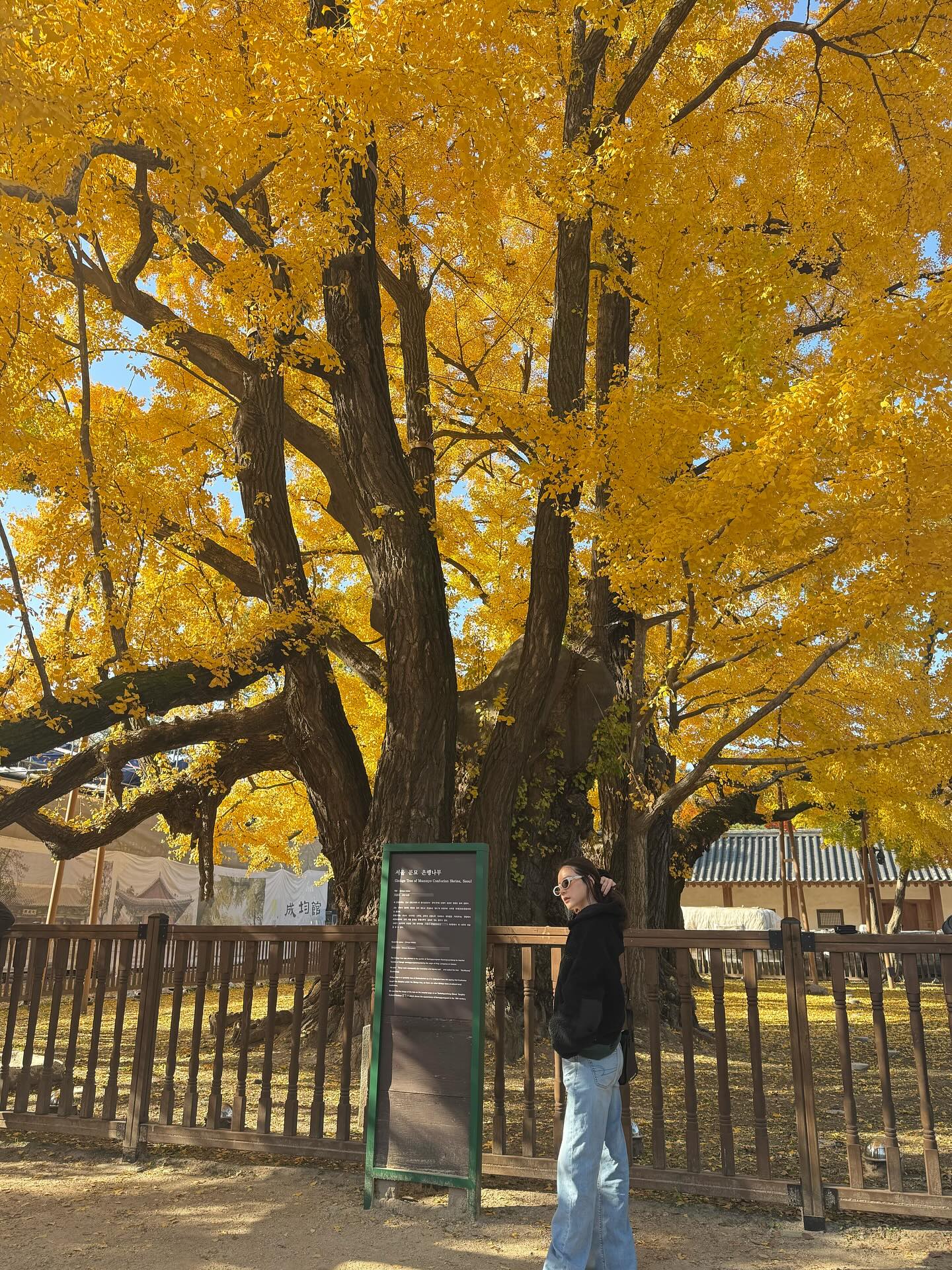 ใบเฟิร์น - พิมพ์ชนก ลือวิเศษไพบูลย์