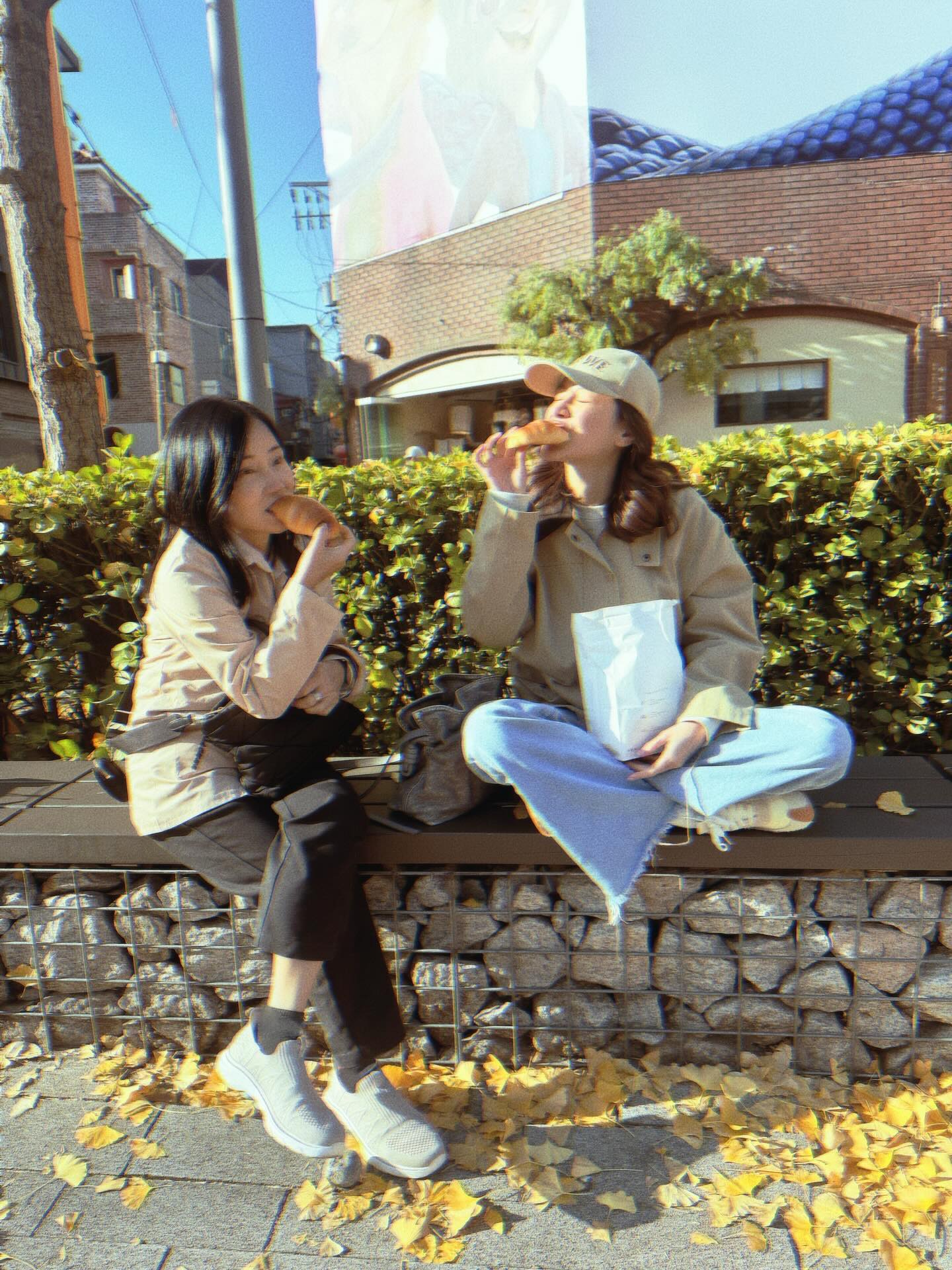 ใบเฟิร์น - พิมพ์ชนก ลือวิเศษไพบูลย์