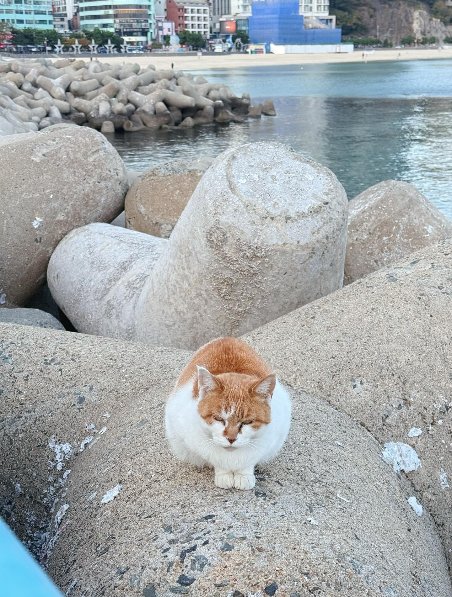 ใบเฟิร์น - พิมพ์ชนก ลือวิเศษไพบูลย์