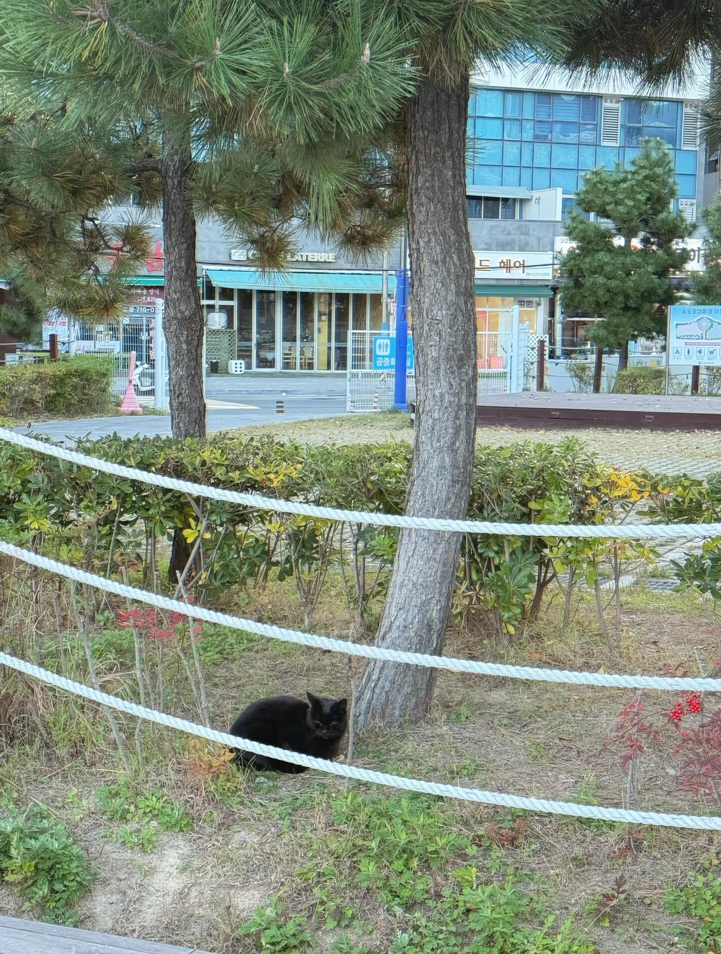 ใบเฟิร์น - พิมพ์ชนก ลือวิเศษไพบูลย์