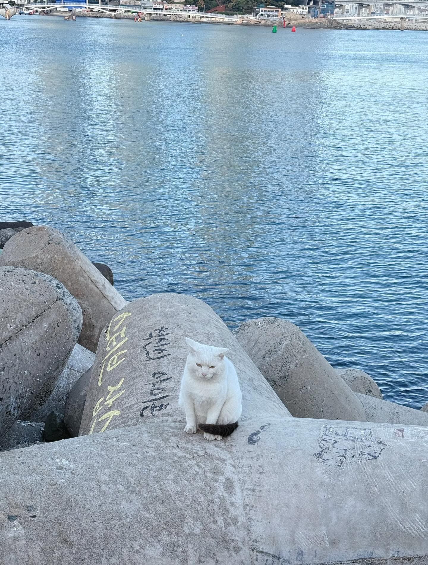 ใบเฟิร์น - พิมพ์ชนก ลือวิเศษไพบูลย์