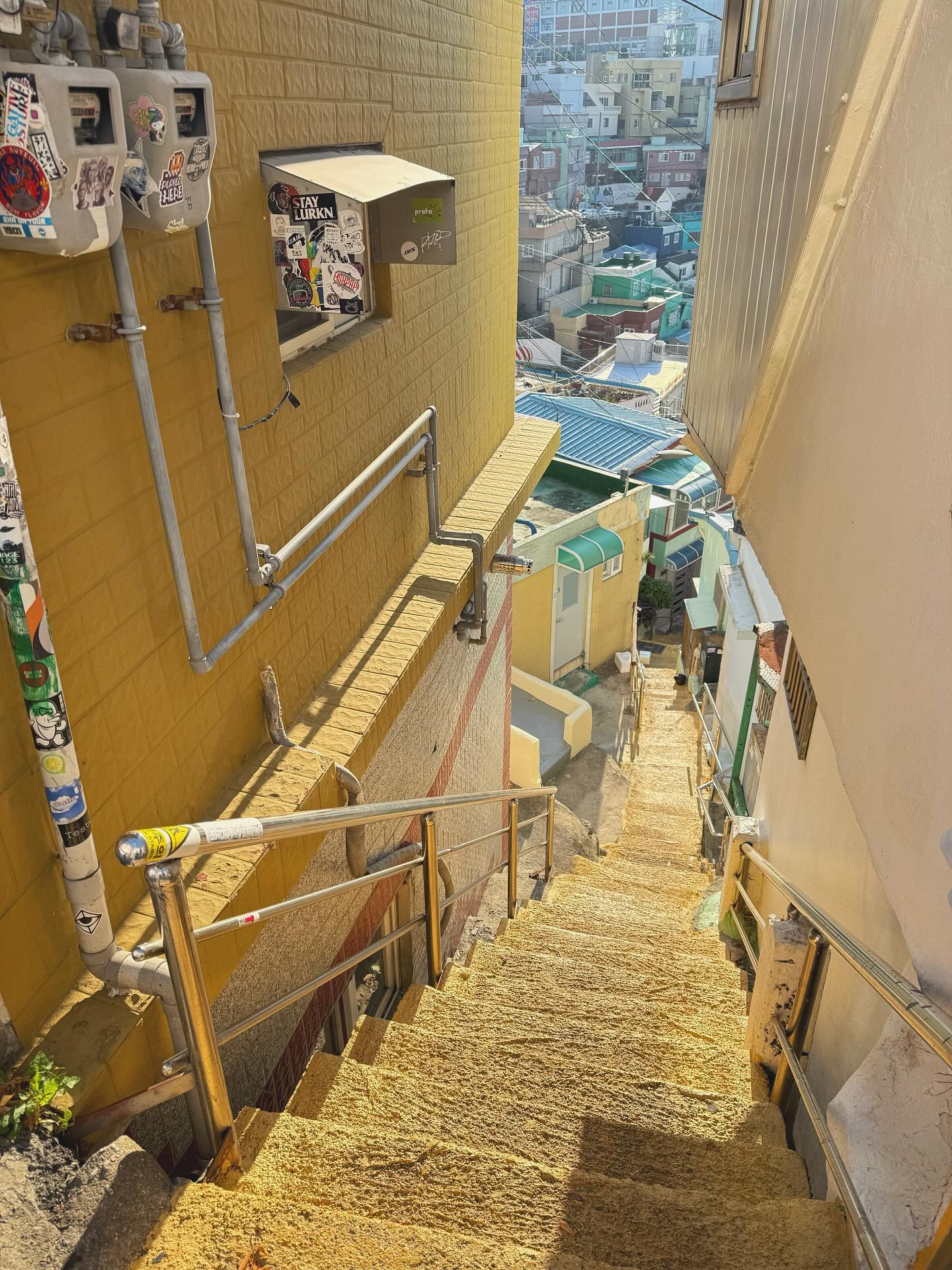 ใบเฟิร์น - พิมพ์ชนก ลือวิเศษไพบูลย์