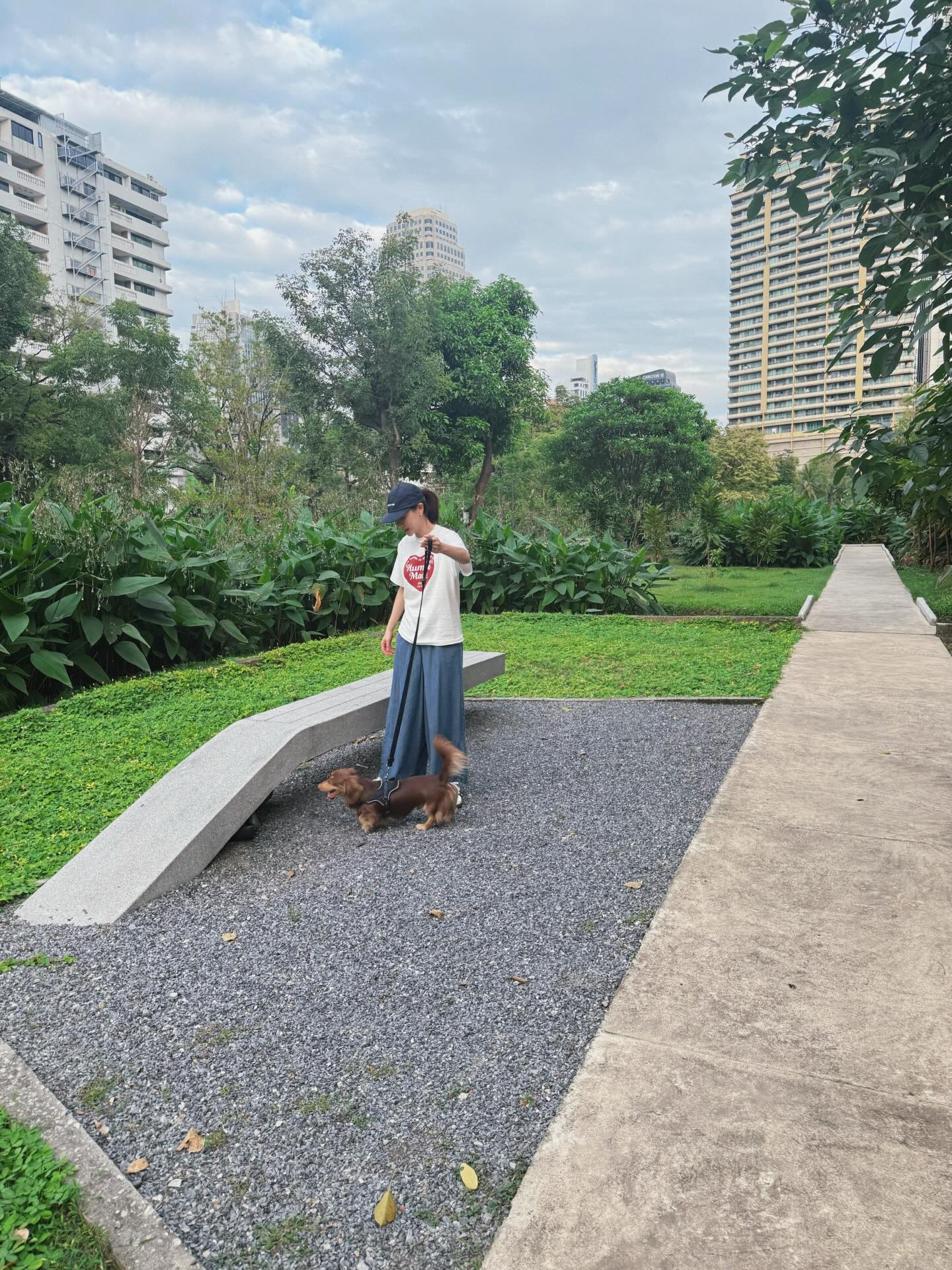 ใบเฟิร์น - พิมพ์ชนก ลือวิเศษไพบูลย์