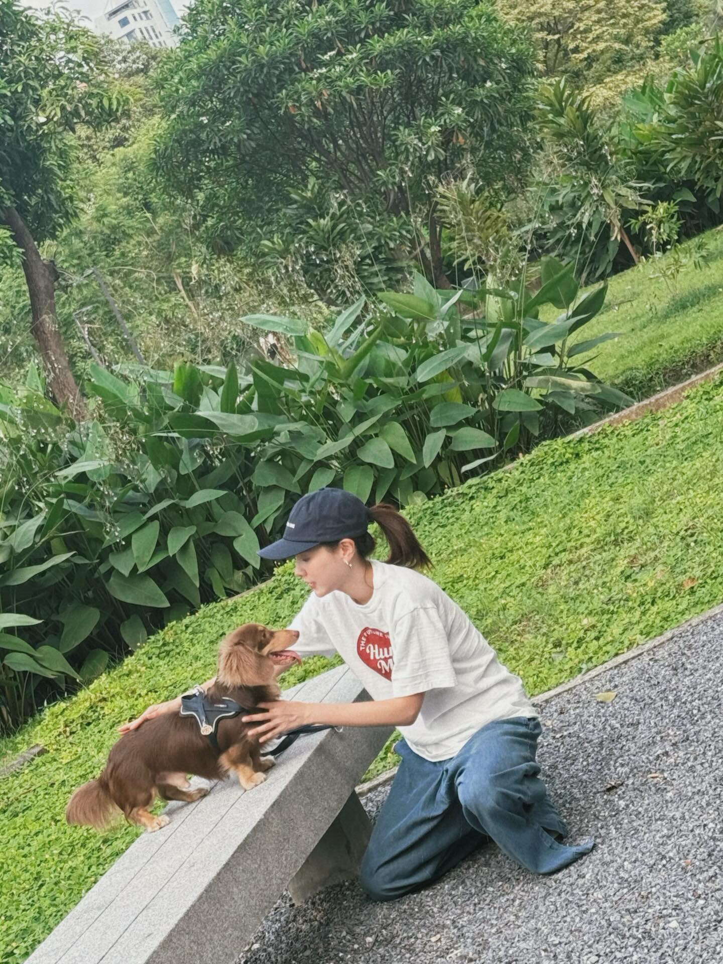 ใบเฟิร์น - พิมพ์ชนก ลือวิเศษไพบูลย์