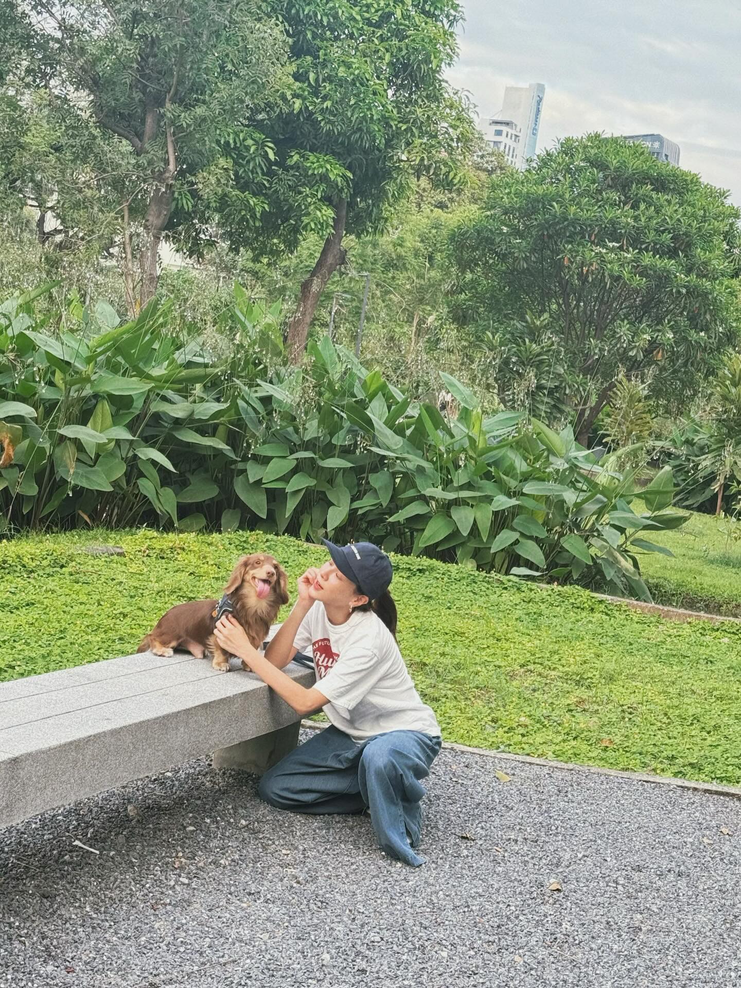 ใบเฟิร์น - พิมพ์ชนก ลือวิเศษไพบูลย์