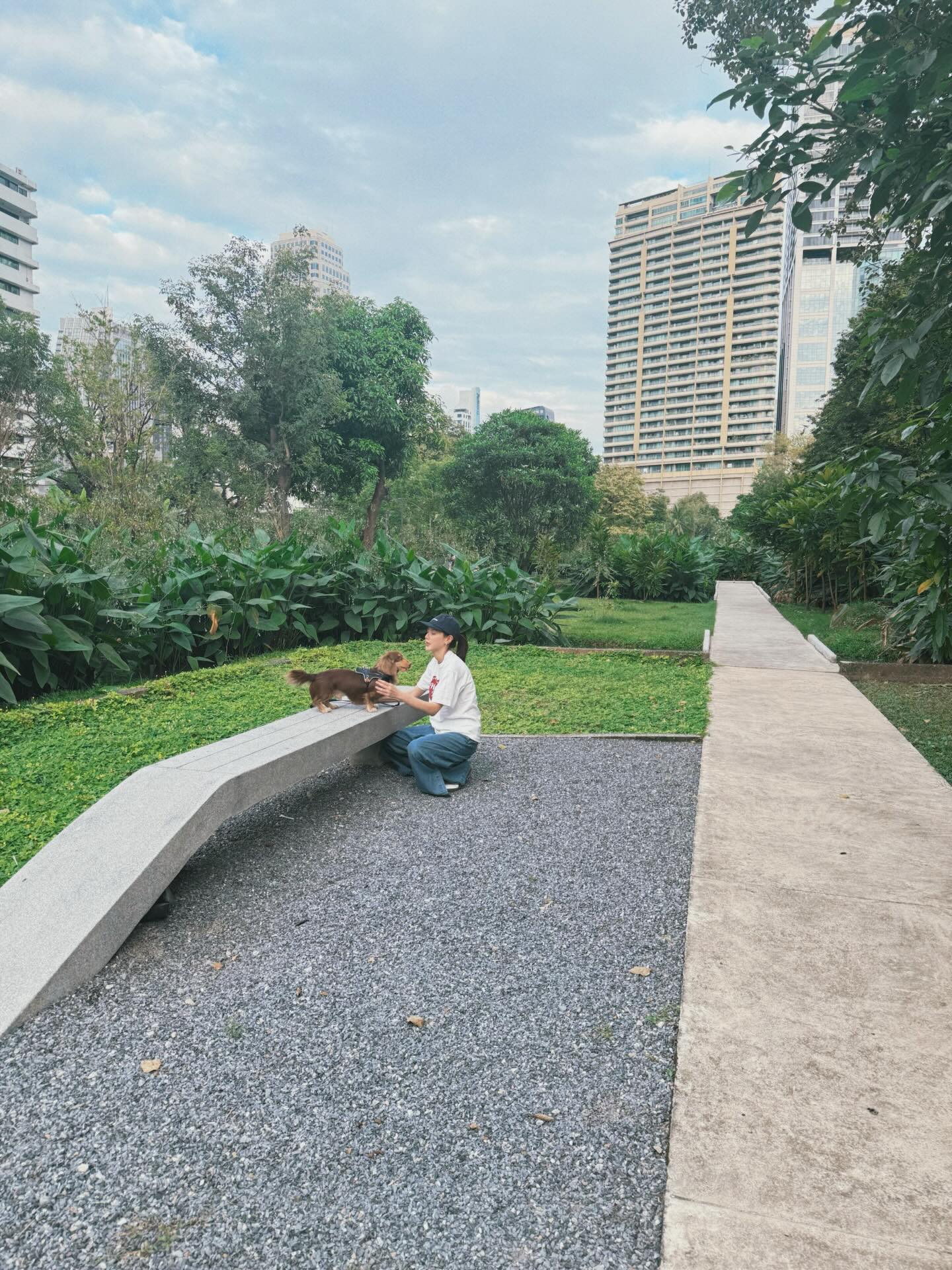 ใบเฟิร์น - พิมพ์ชนก ลือวิเศษไพบูลย์