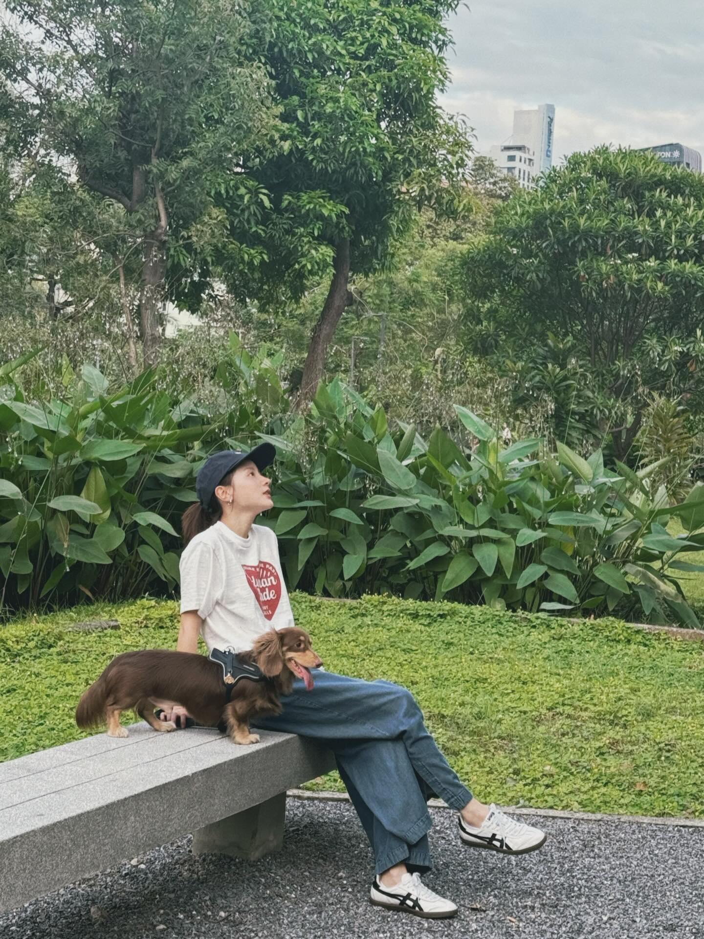 ใบเฟิร์น - พิมพ์ชนก ลือวิเศษไพบูลย์