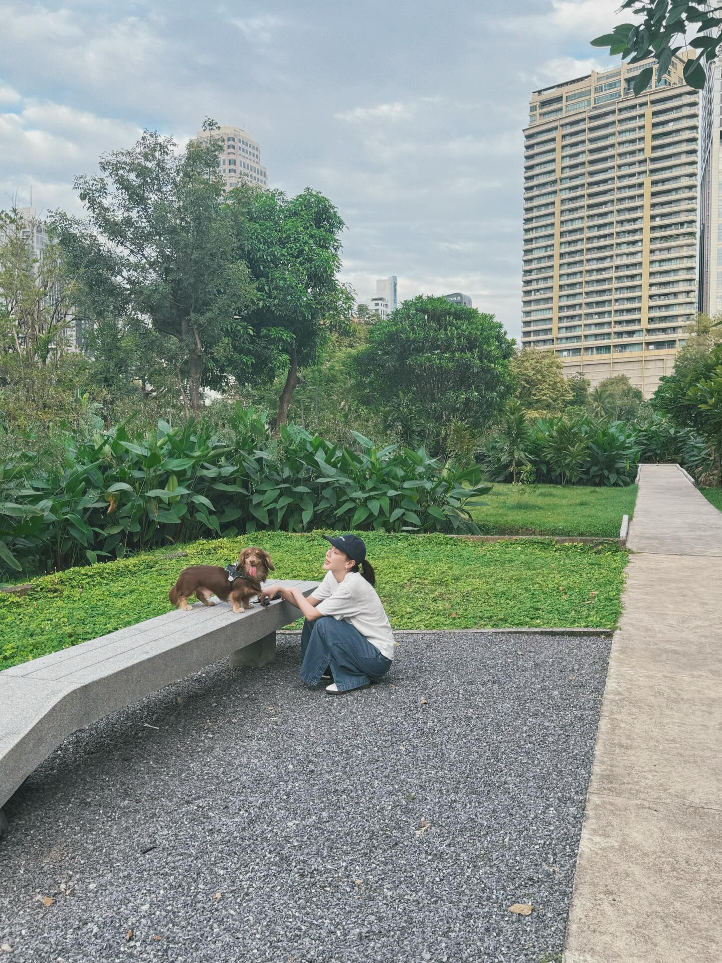 ใบเฟิร์น - พิมพ์ชนก ลือวิเศษไพบูลย์