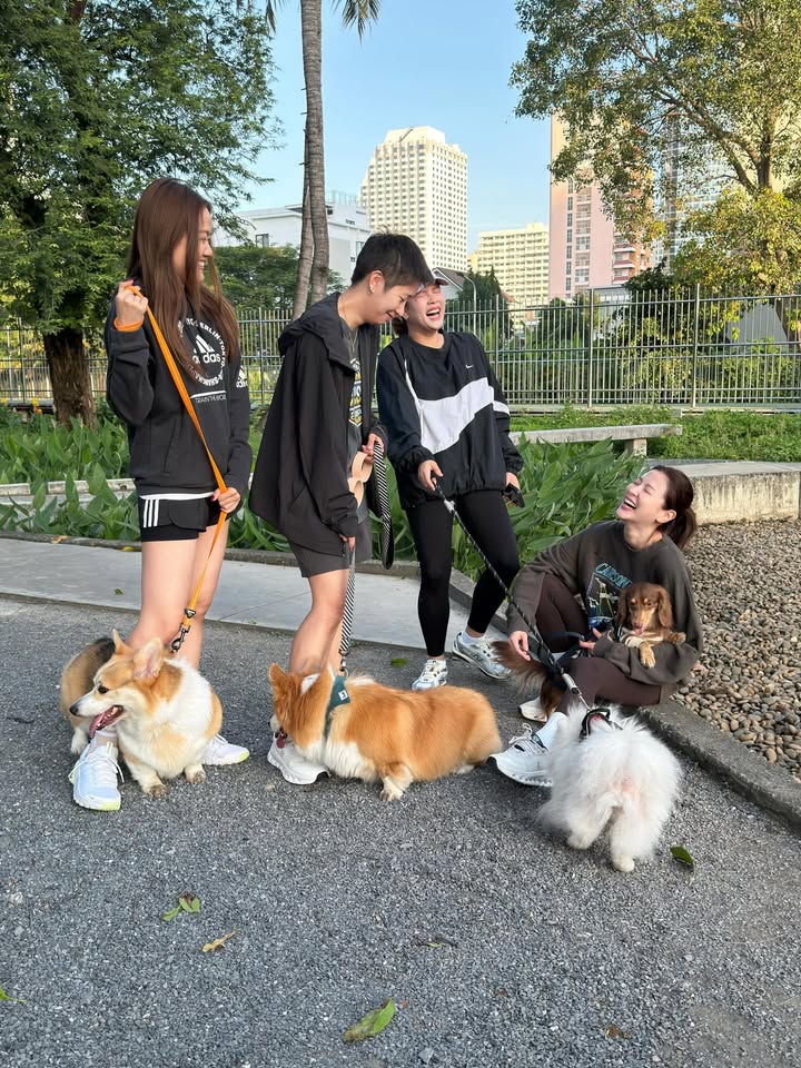 ใบเฟิร์น - พิมพ์ชนก ลือวิเศษไพบูลย์