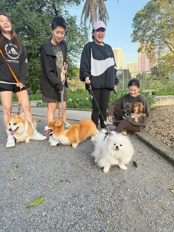 ใบเฟิร์น - พิมพ์ชนก ลือวิเศษไพบูลย์