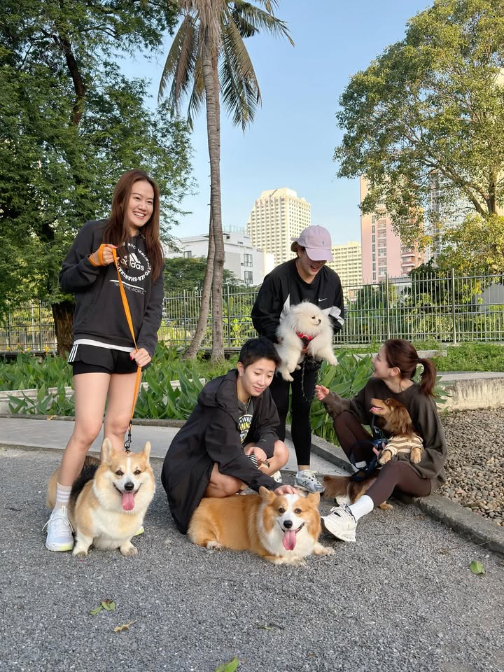 ใบเฟิร์น - พิมพ์ชนก ลือวิเศษไพบูลย์