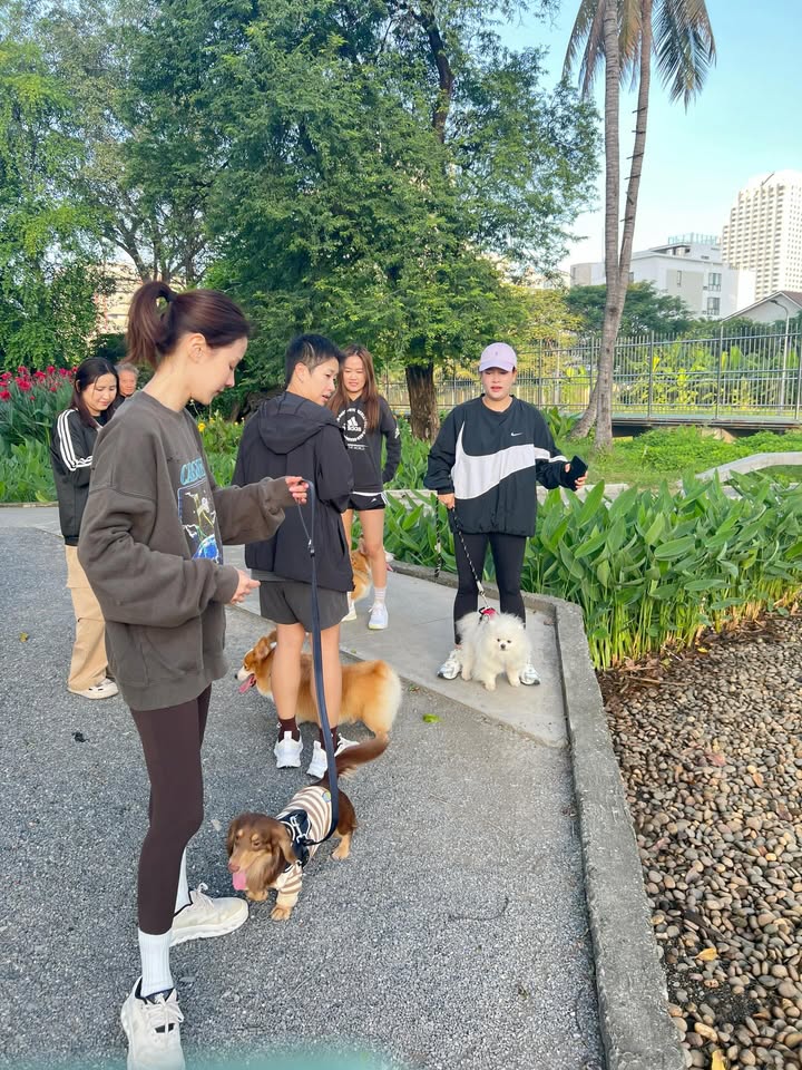 ใบเฟิร์น - พิมพ์ชนก ลือวิเศษไพบูลย์