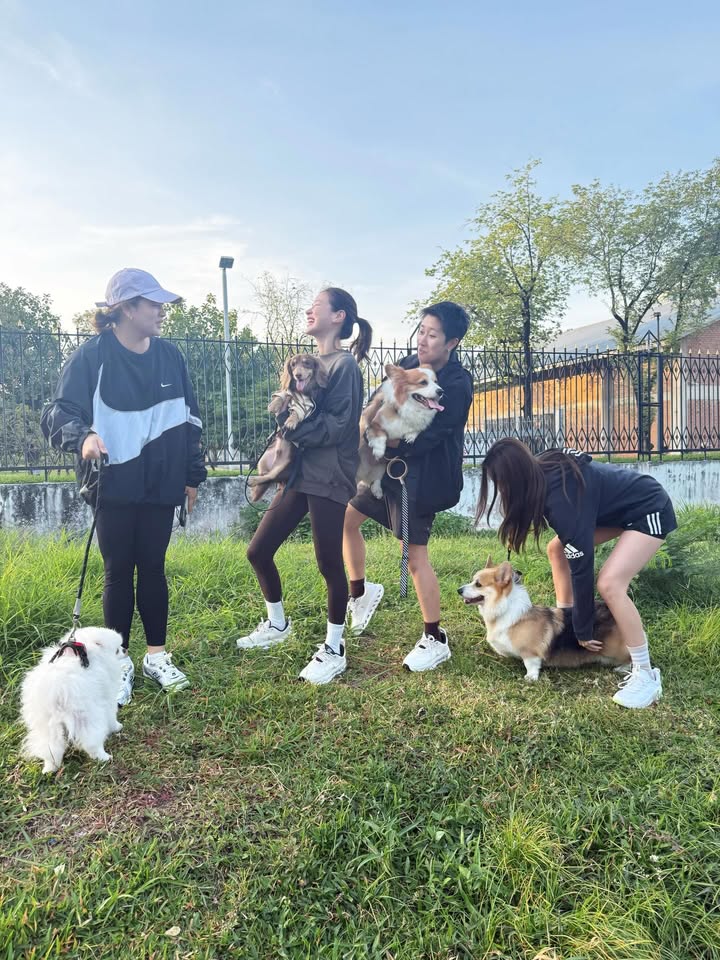 ใบเฟิร์น - พิมพ์ชนก ลือวิเศษไพบูลย์