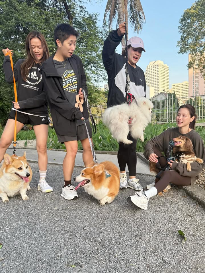 ใบเฟิร์น - พิมพ์ชนก ลือวิเศษไพบูลย์