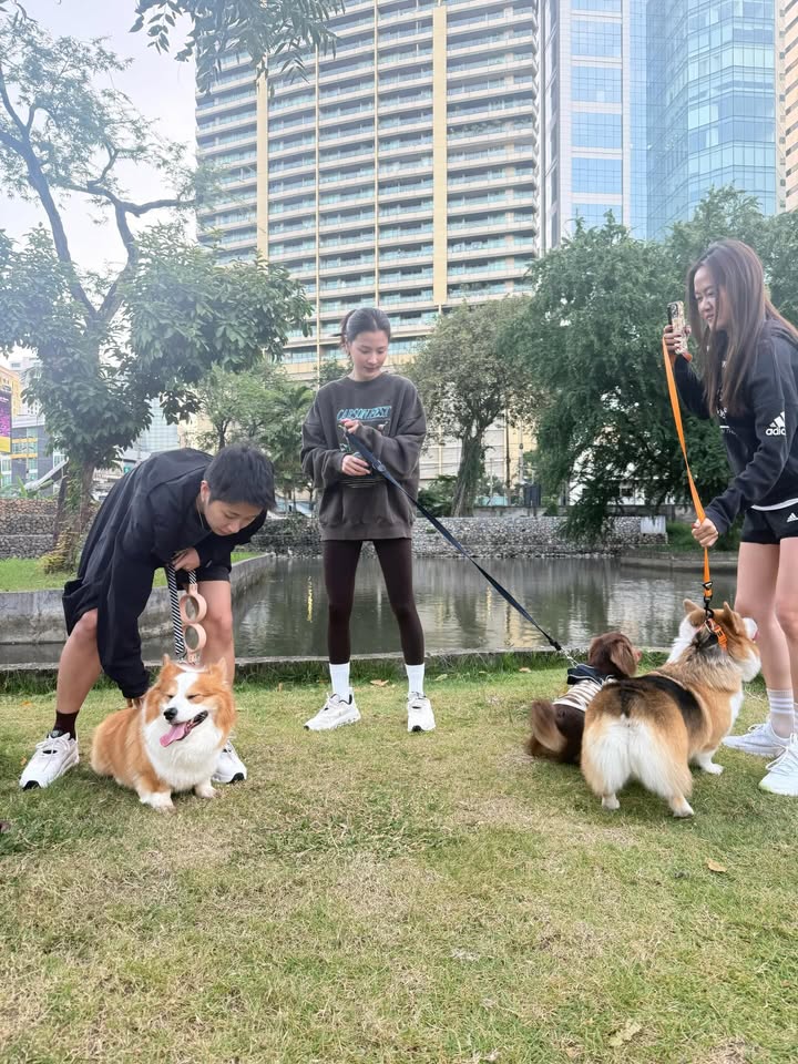 ใบเฟิร์น - พิมพ์ชนก ลือวิเศษไพบูลย์