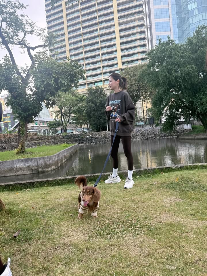 ใบเฟิร์น - พิมพ์ชนก ลือวิเศษไพบูลย์