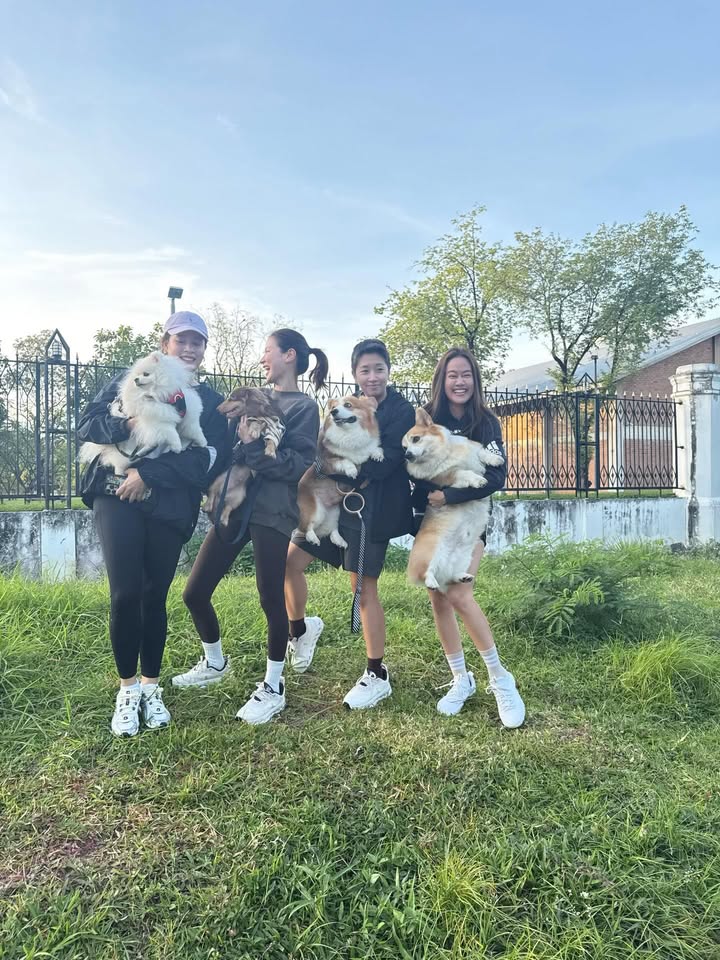 ใบเฟิร์น - พิมพ์ชนก ลือวิเศษไพบูลย์