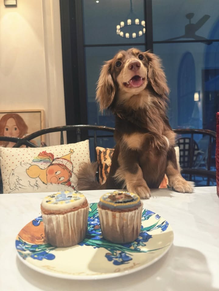 ใบเฟิร์น - พิมพ์ชนก ลือวิเศษไพบูลย์